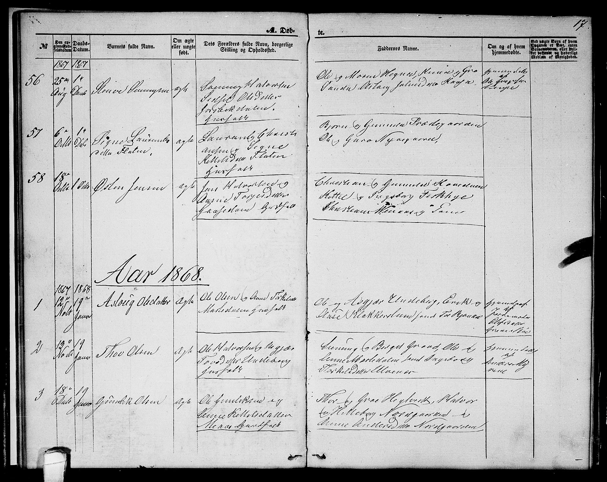 Seljord kirkebøker, SAKO/A-20/G/Ga/L0003: Parish register (copy) no. I 3, 1866-1873, p. 17
