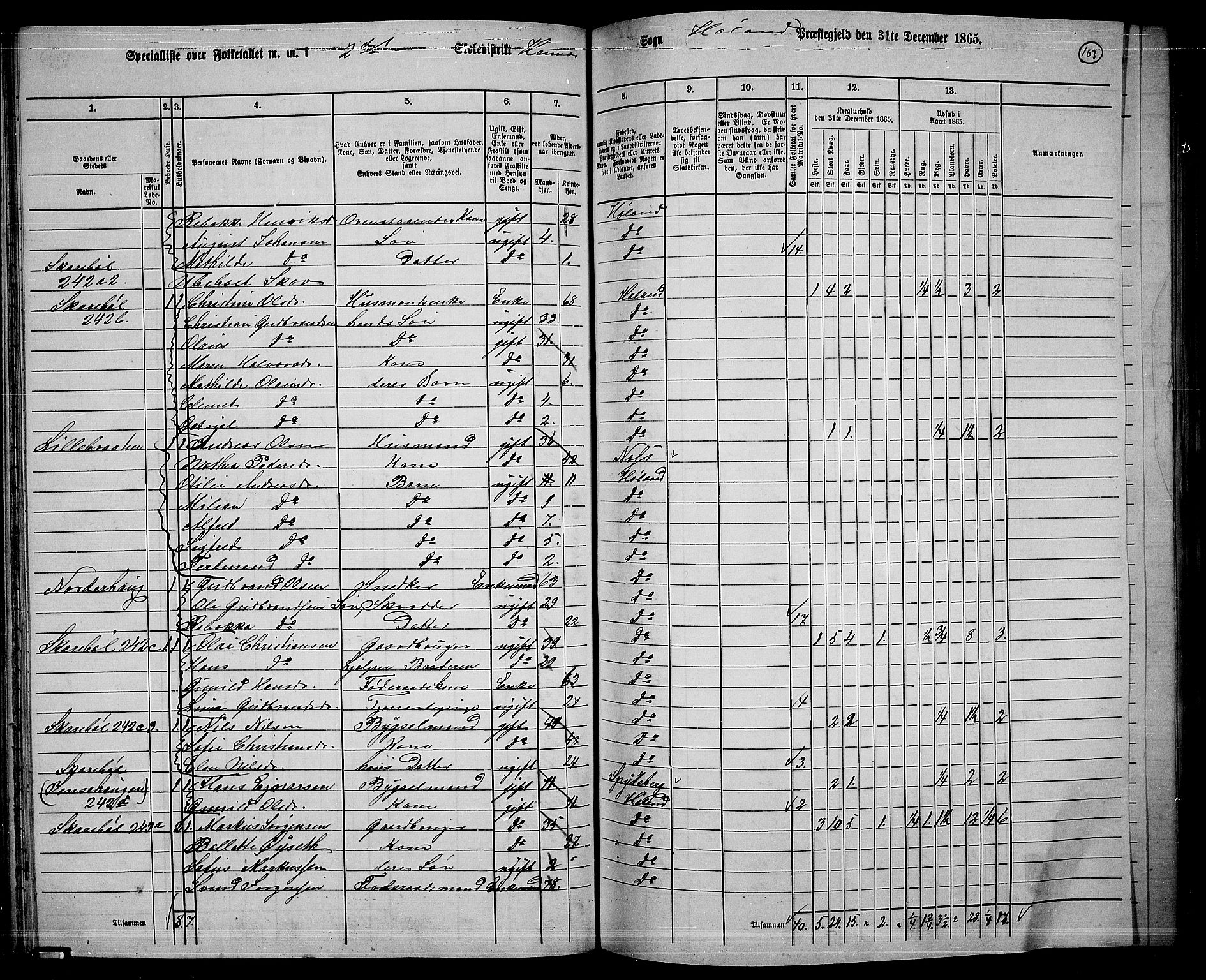 RA, 1865 census for Høland, 1865, p. 154