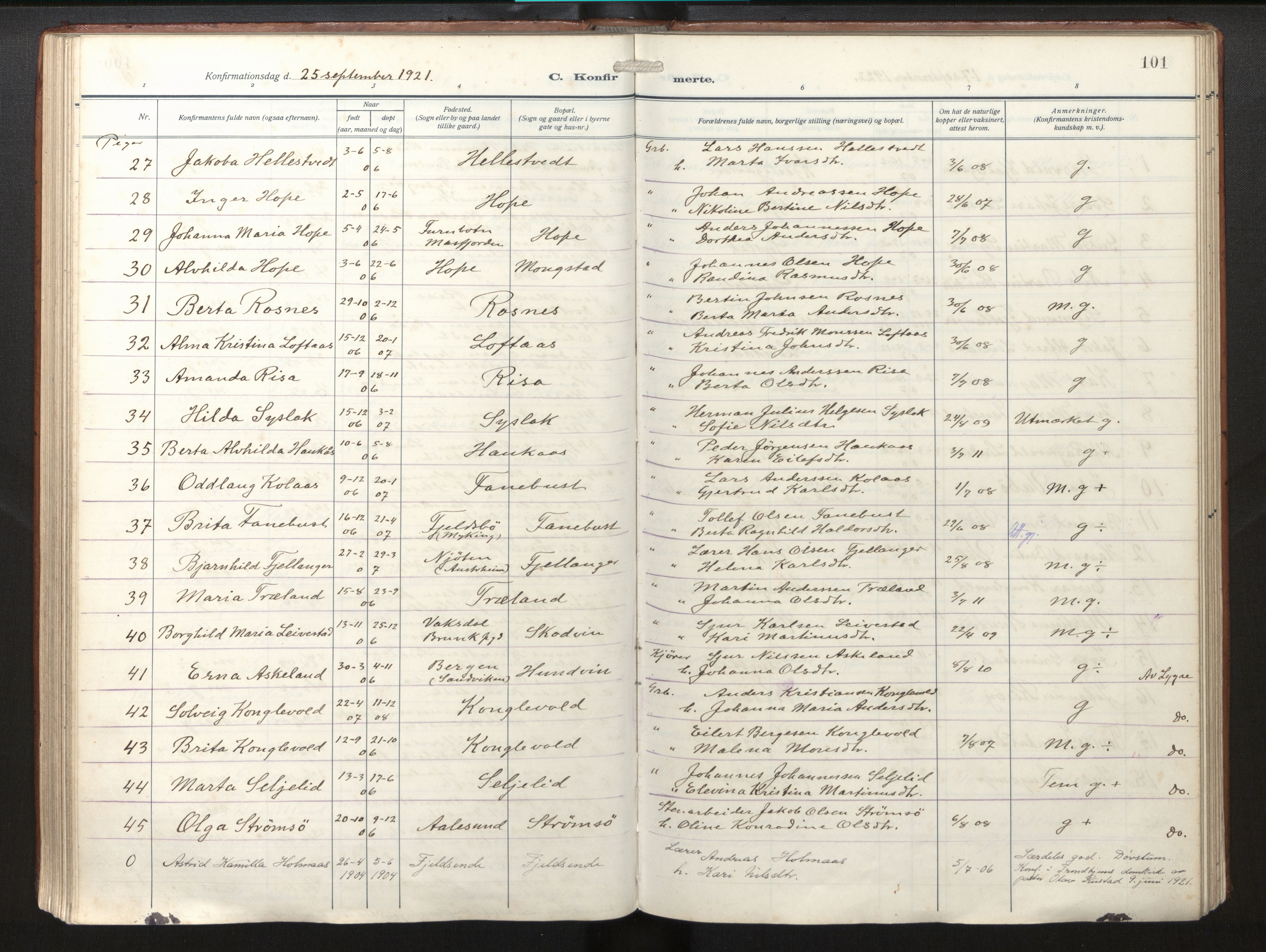 Lindås Sokneprestembete, AV/SAB-A-76701/H/Haa/Haab/L0003: Parish register (official) no. B 3, 1912-1929, p. 101
