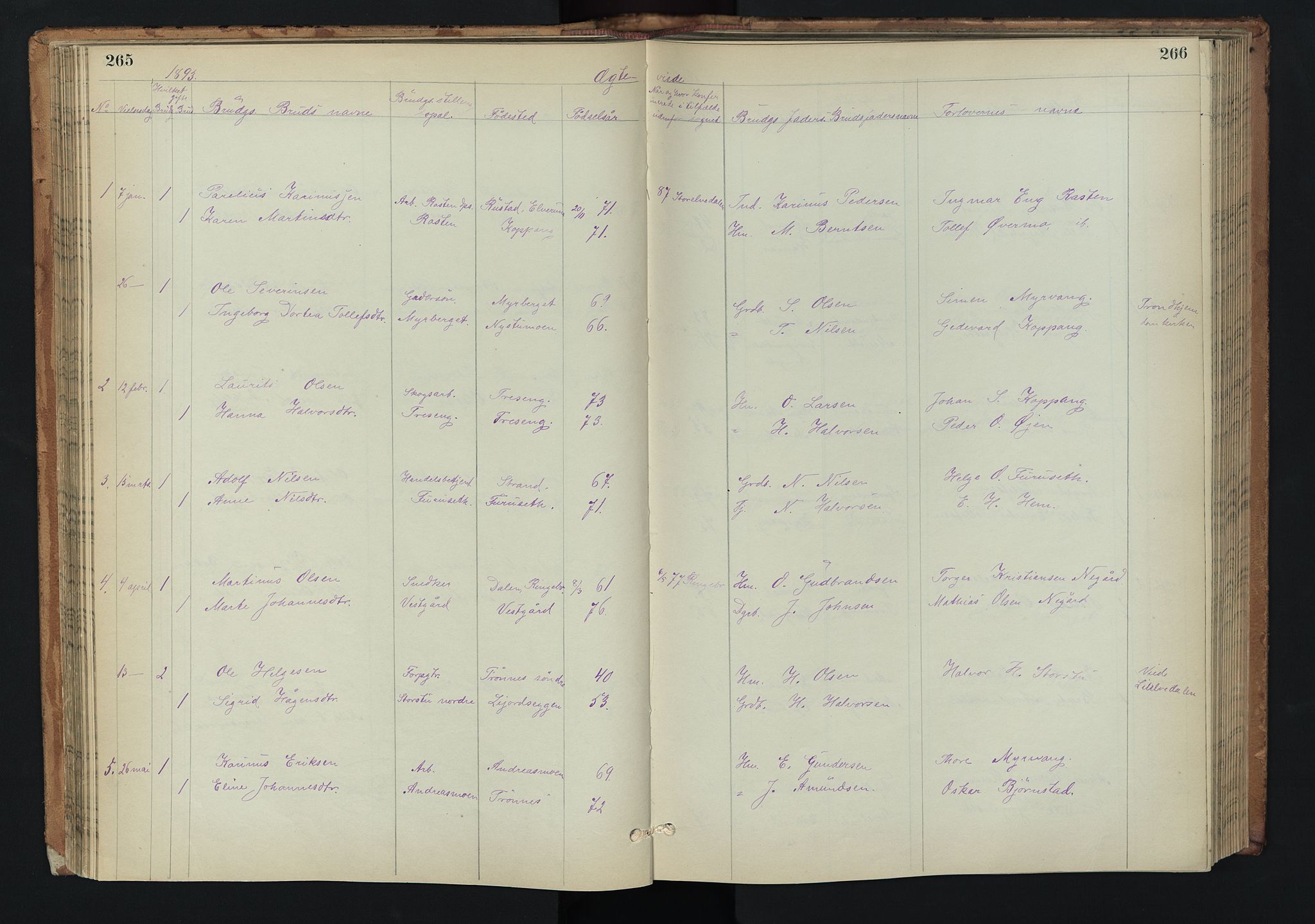 Stor-Elvdal prestekontor, SAH/PREST-052/H/Ha/Hab/L0002: Parish register (copy) no. 2, 1860-1894, p. 265-266