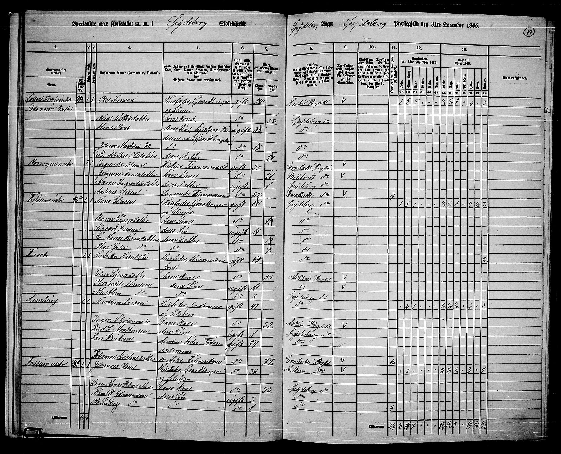 RA, 1865 census for Spydeberg, 1865, p. 18