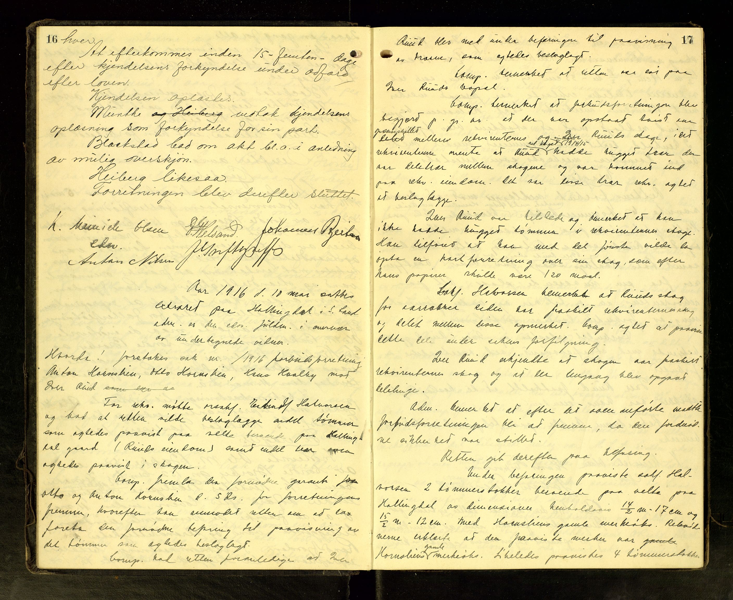 Hadeland og Land tingrett, AV/SAH-TING-010/G/Gc/L0056: Ekstrarettsprotokoll, 1916-1918, p. 16-17
