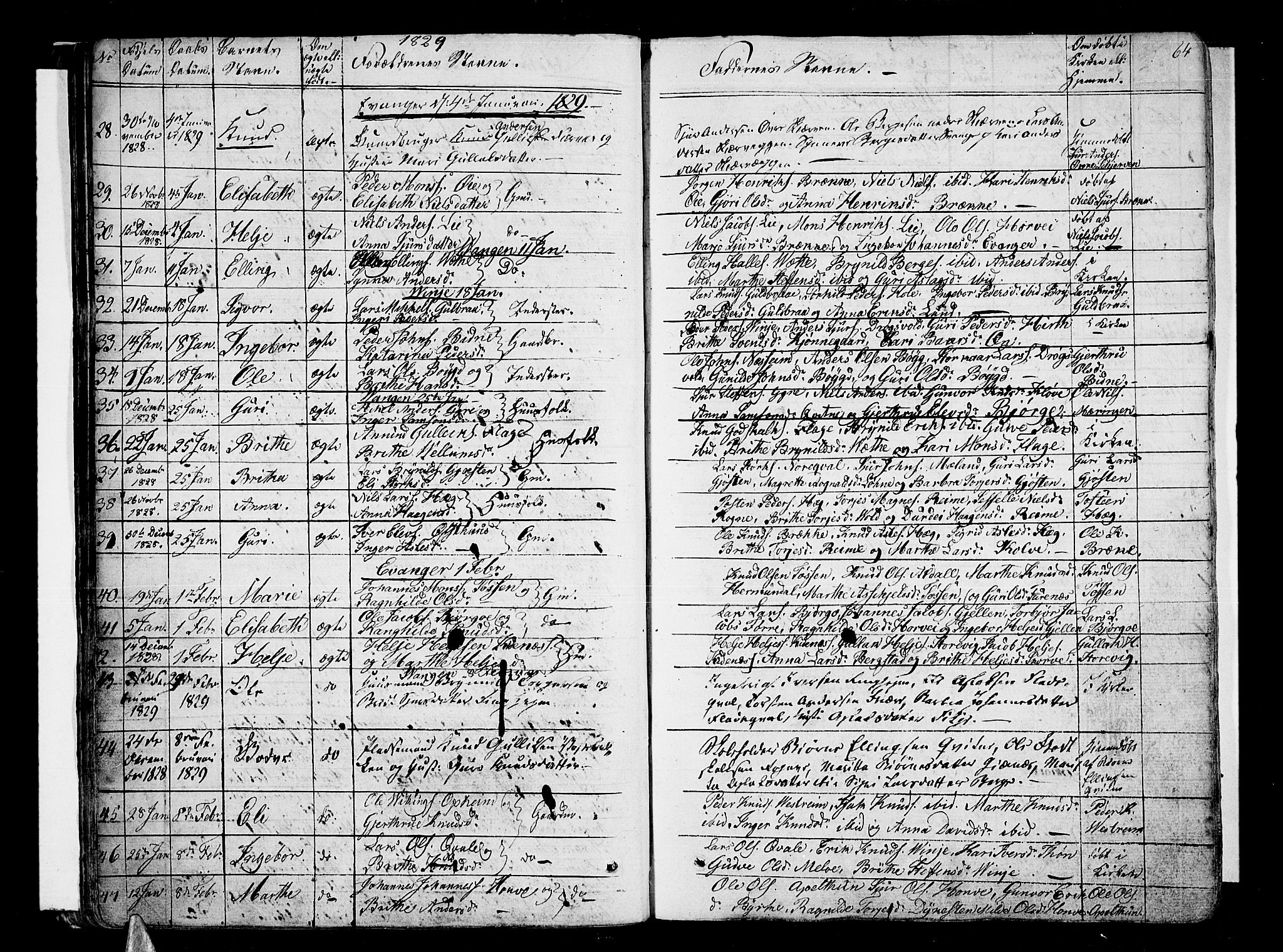 Voss sokneprestembete, SAB/A-79001/H/Haa: Parish register (official) no. A 12, 1823-1837, p. 64