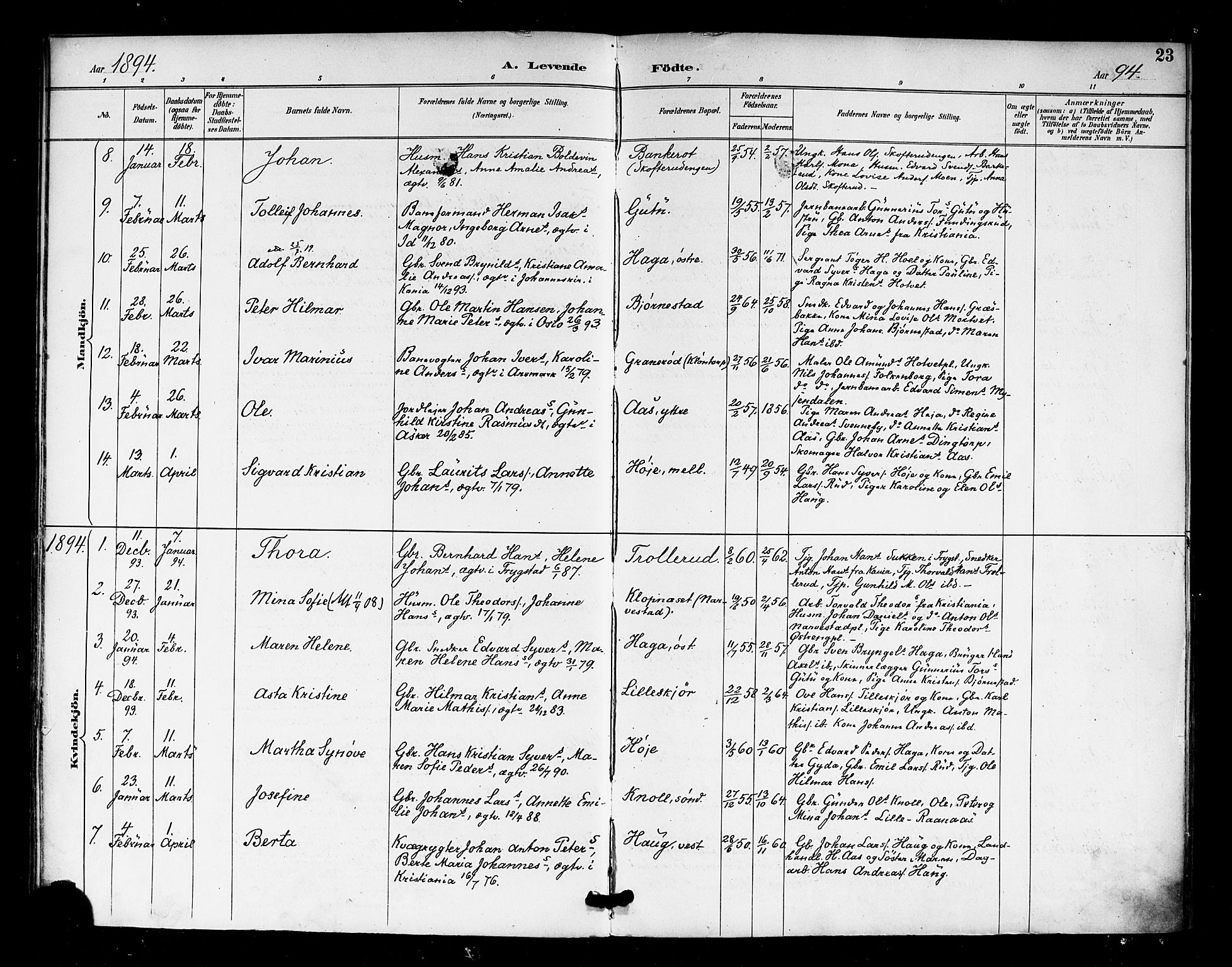 Eidsberg prestekontor Kirkebøker, SAO/A-10905/F/Fa/L0013: Parish register (official) no. I 13, 1890-1901, p. 23