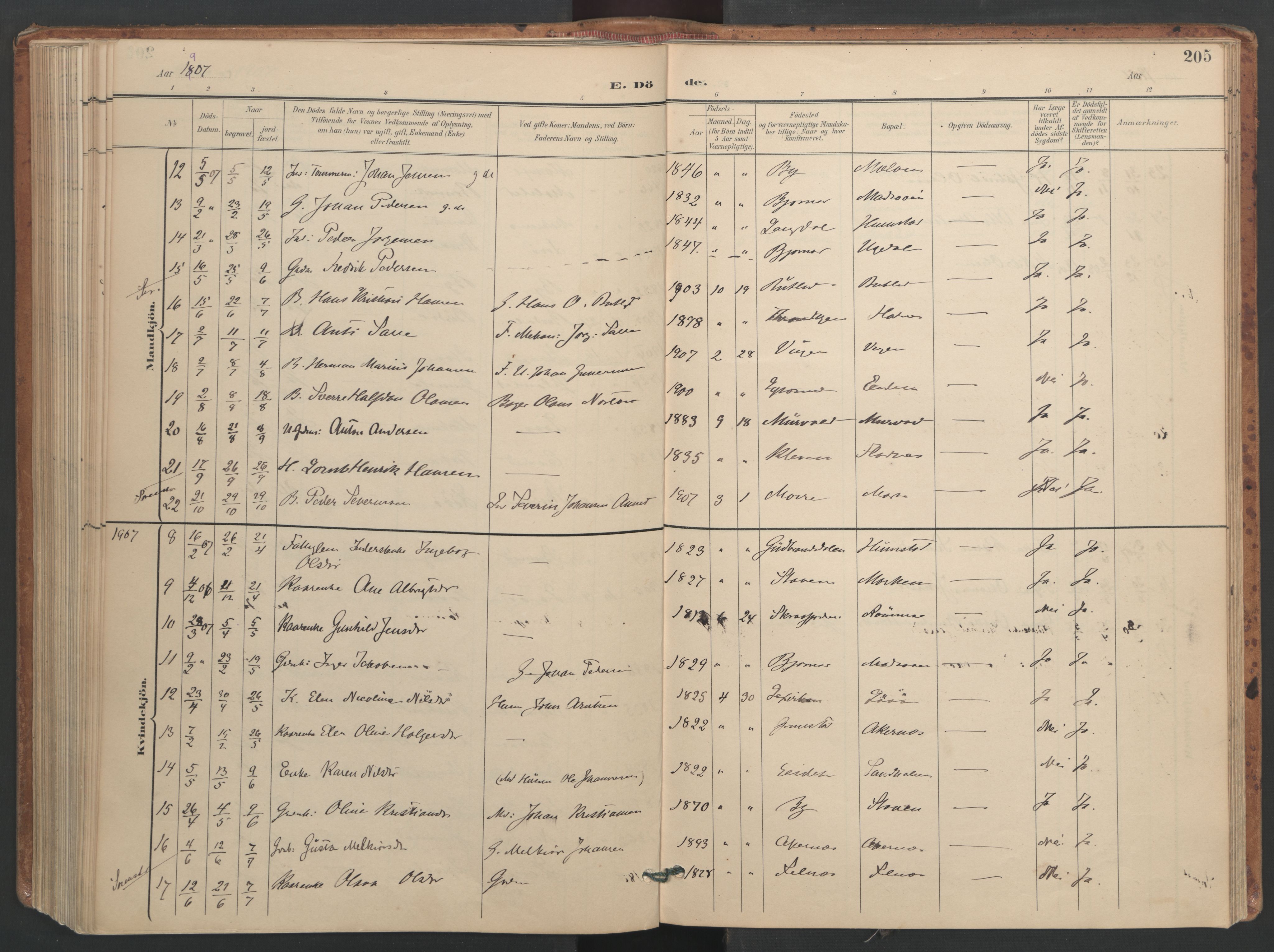 Ministerialprotokoller, klokkerbøker og fødselsregistre - Sør-Trøndelag, SAT/A-1456/655/L0681: Parish register (official) no. 655A10, 1895-1907, p. 205