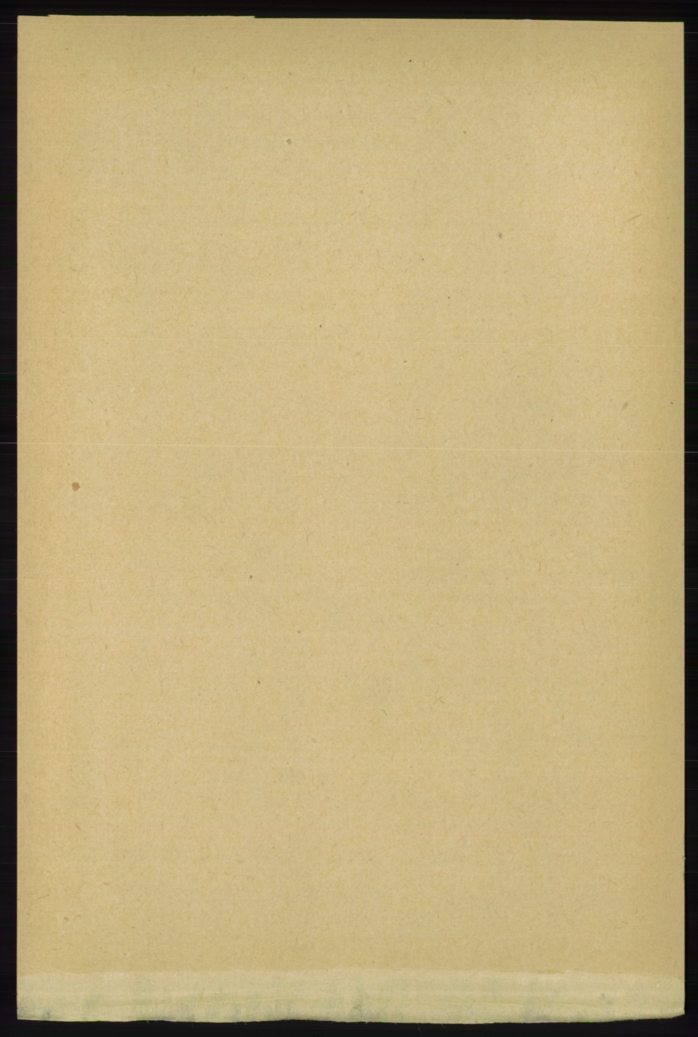 RA, 1891 census for 1131 Årdal, 1891, p. 572