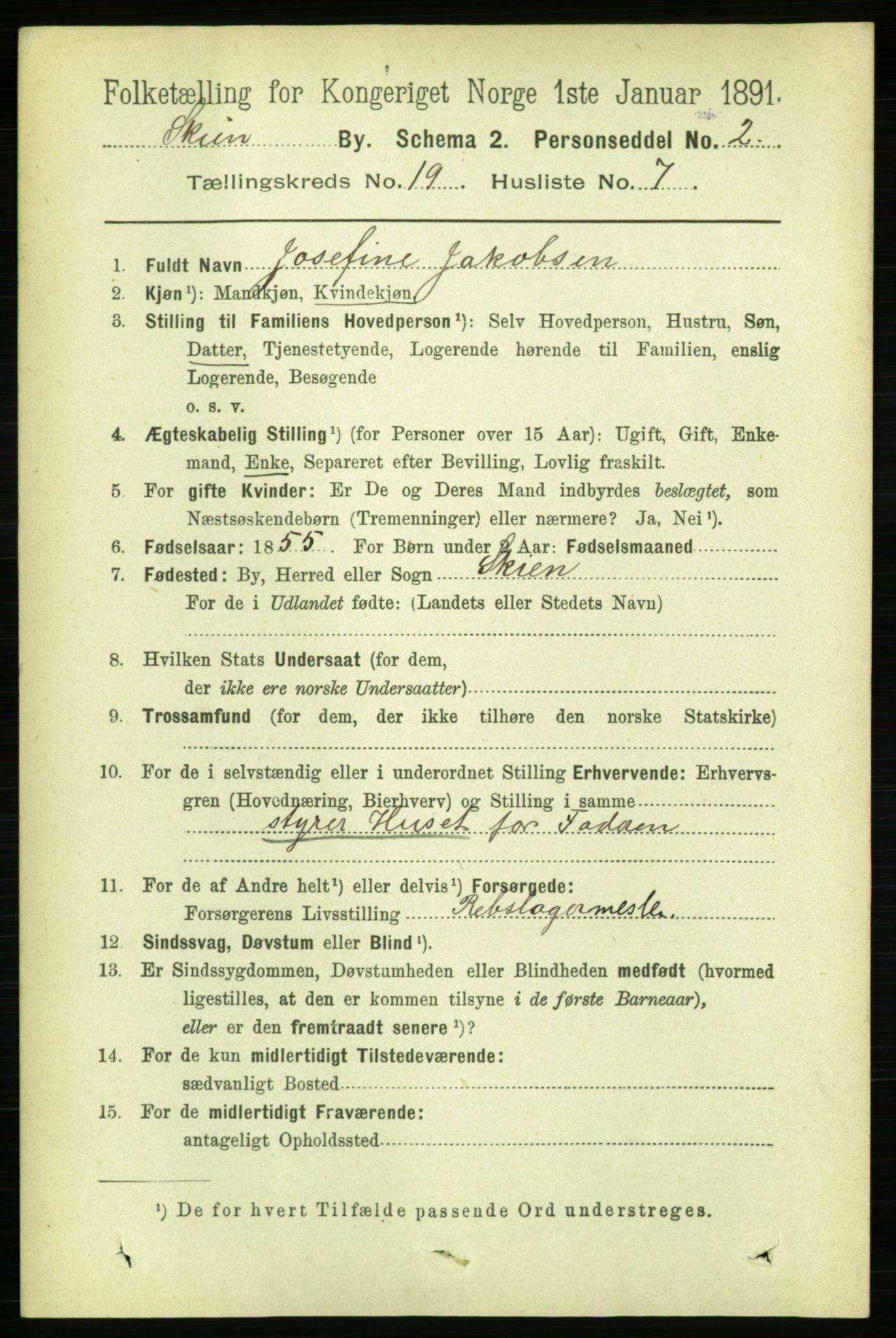 RA, 1891 census for 0806 Skien, 1891, p. 5119