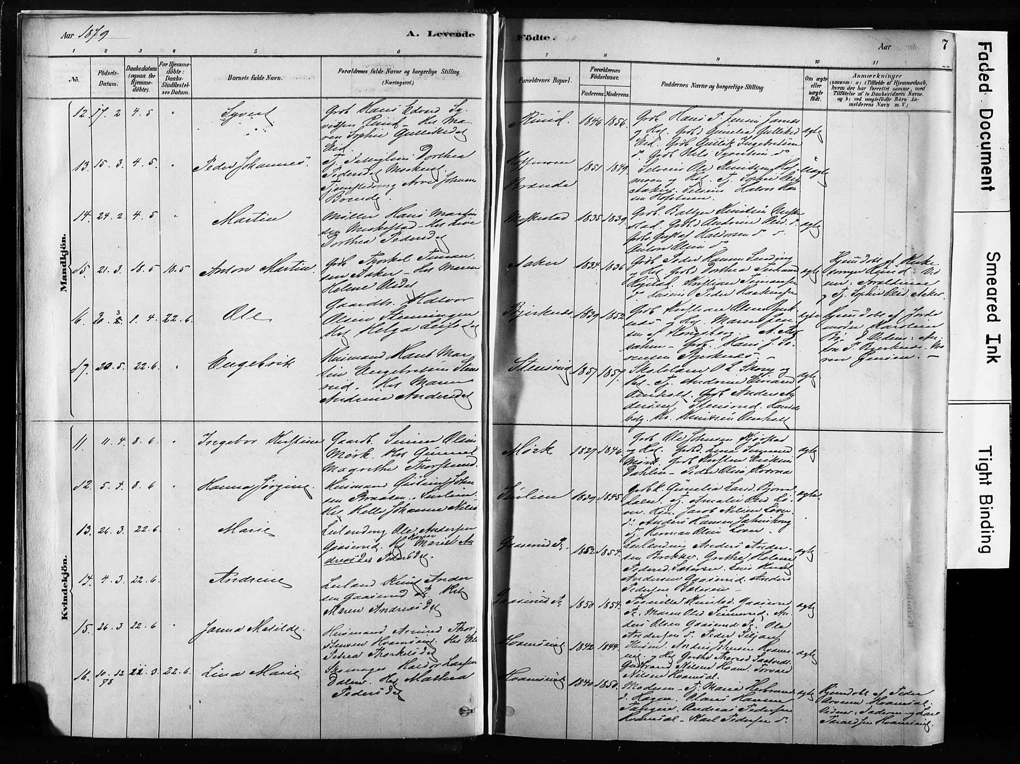 Sandsvær kirkebøker, AV/SAKO-A-244/F/Fb/L0001: Parish register (official) no. II 1, 1878-1906, p. 7