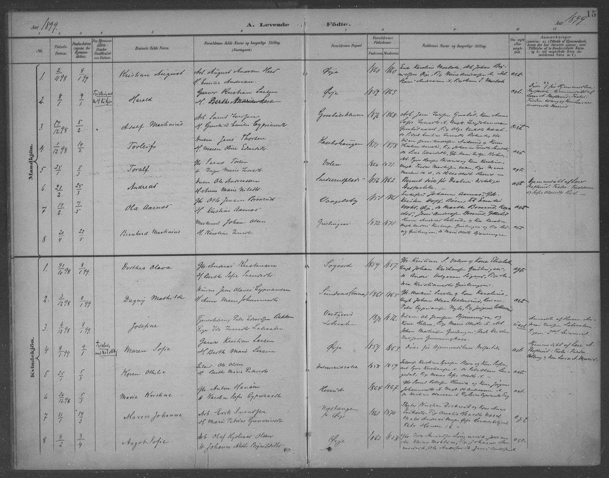 Aremark prestekontor Kirkebøker, AV/SAO-A-10899/F/Fb/L0005: Parish register (official) no. II 5, 1895-1919, p. 15