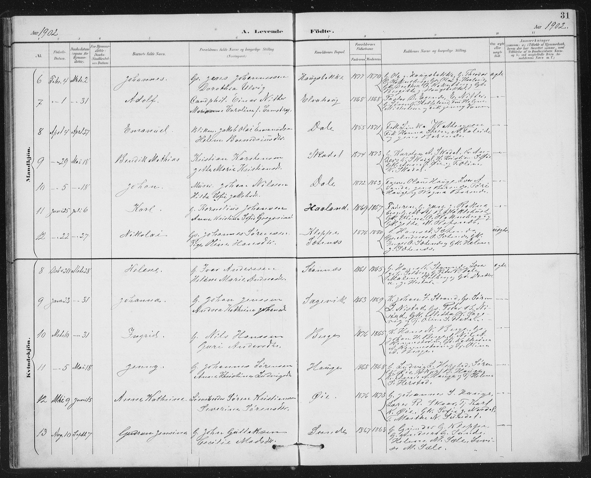 Fjaler sokneprestembete, AV/SAB-A-79801/H/Hab/Habc/L0003: Parish register (copy) no. C 3, 1894-1917, p. 31