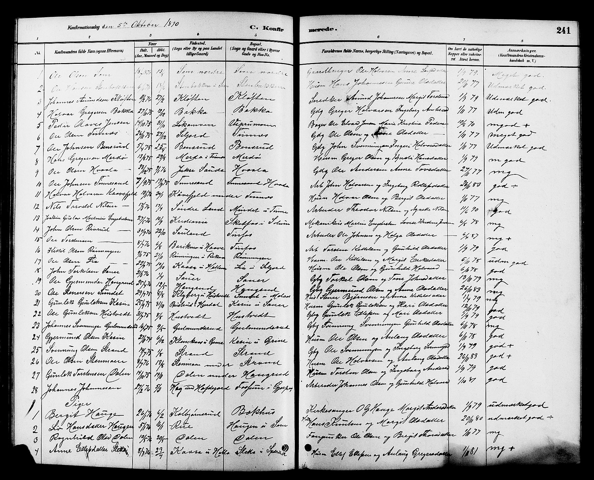 Heddal kirkebøker, SAKO/A-268/G/Ga/L0002: Parish register (copy) no. I 2, 1879-1908, p. 241