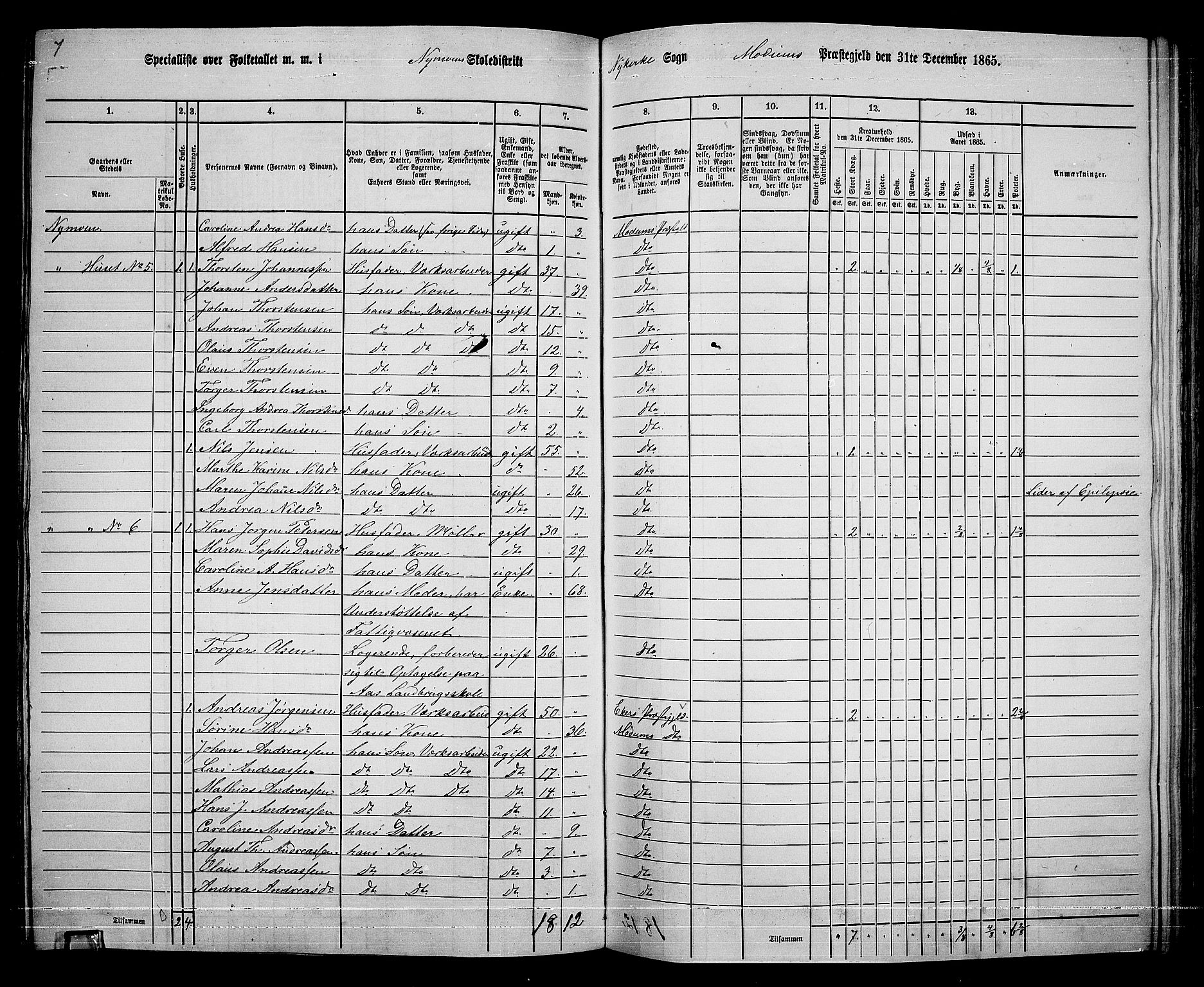 RA, 1865 census for Modum, 1865, p. 232