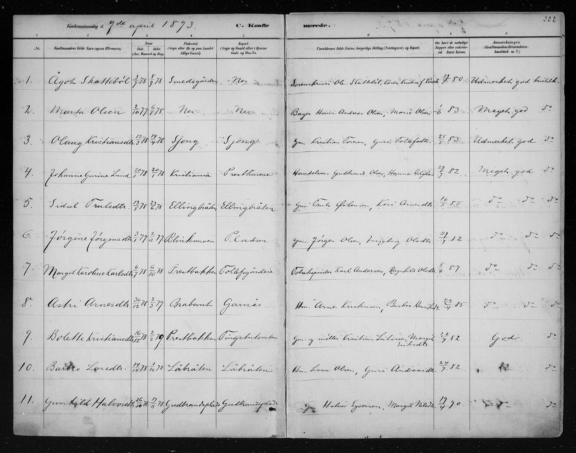 Nes kirkebøker, AV/SAKO-A-236/F/Fa/L0011: Parish register (official) no. 11, 1881-1912, p. 222