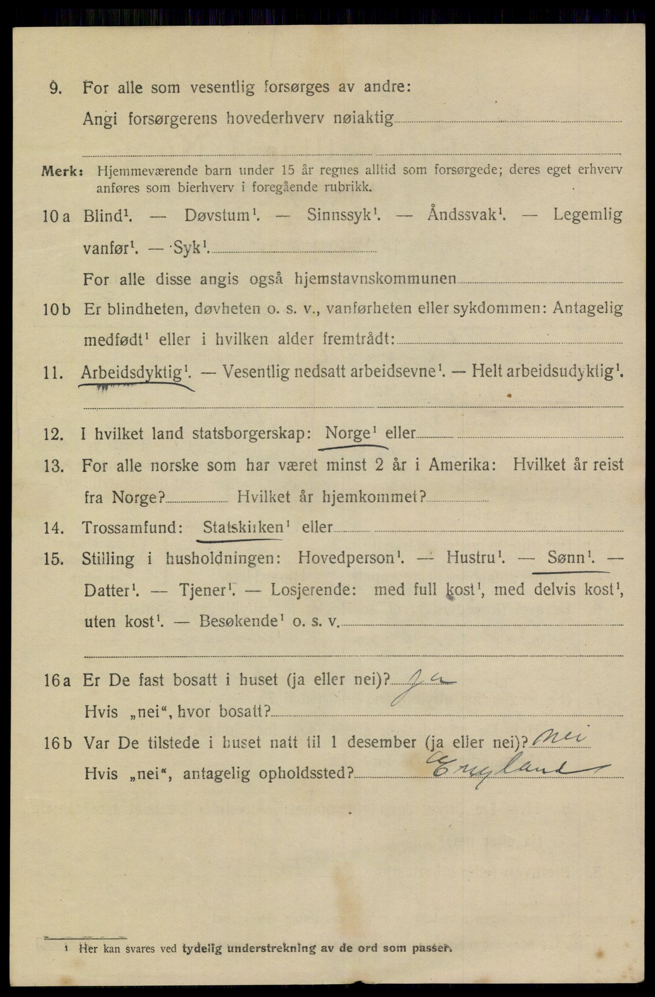 SAKO, 1920 census for Brevik, 1920, p. 3875