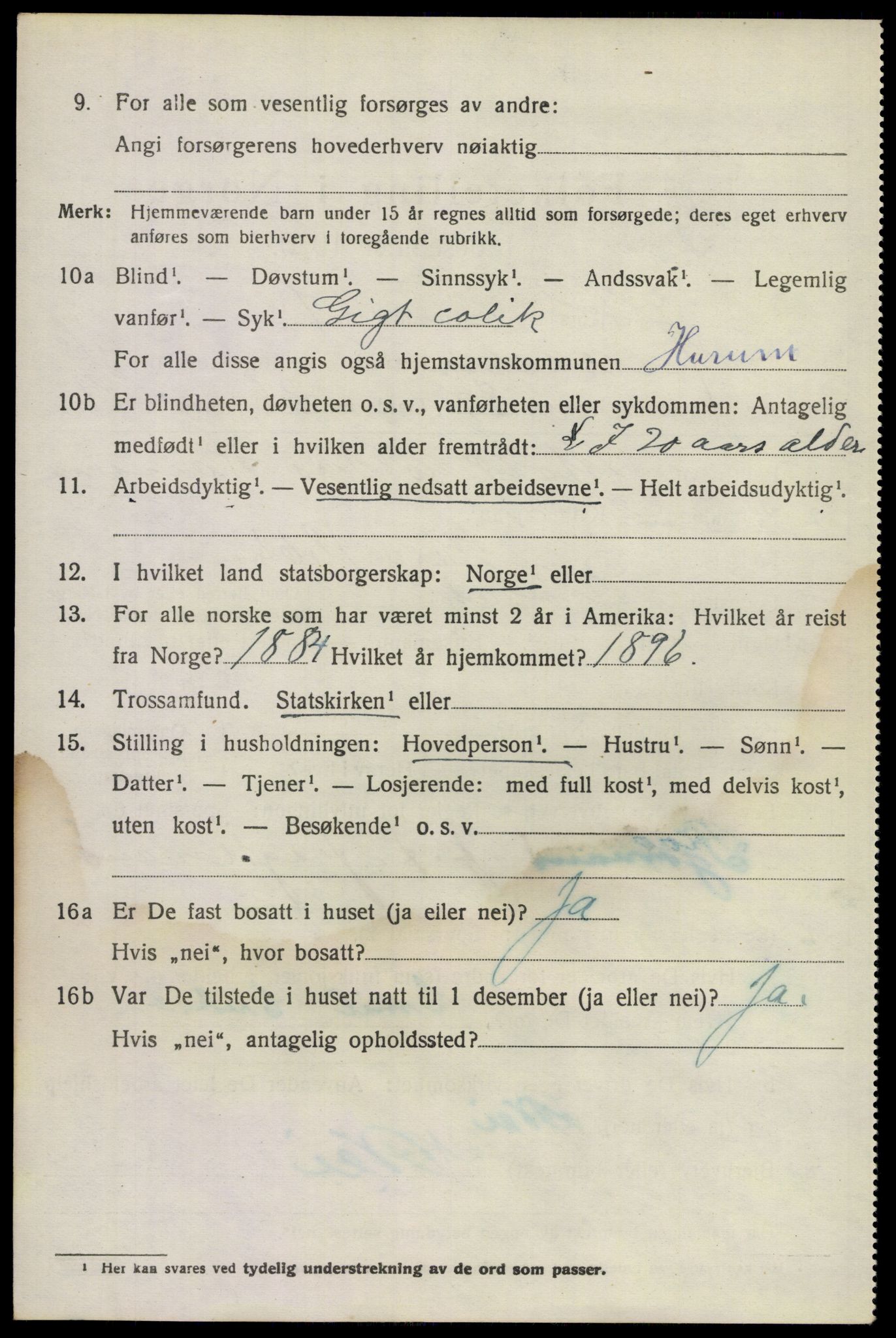 SAKO, 1920 census for Hurum, 1920, p. 10113