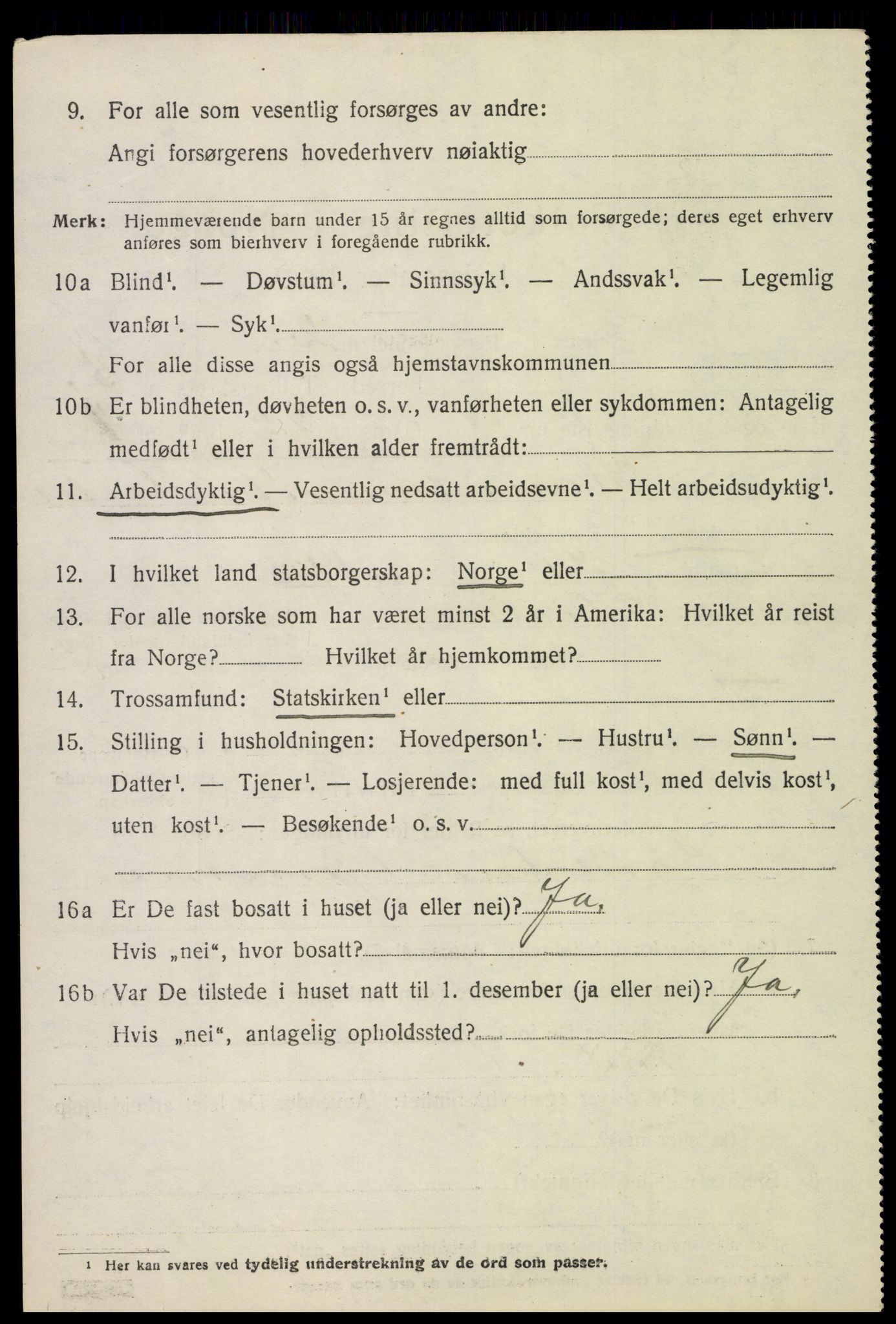 SAH, 1920 census for Sør-Odal, 1920, p. 5028