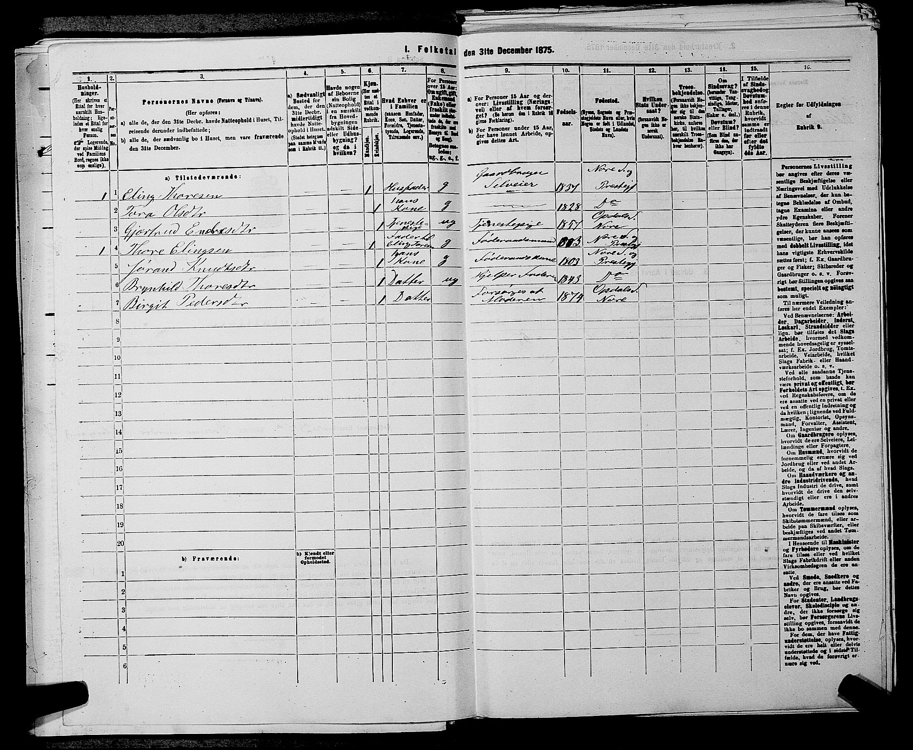 SAKO, 1875 census for 0633P Nore, 1875, p. 917