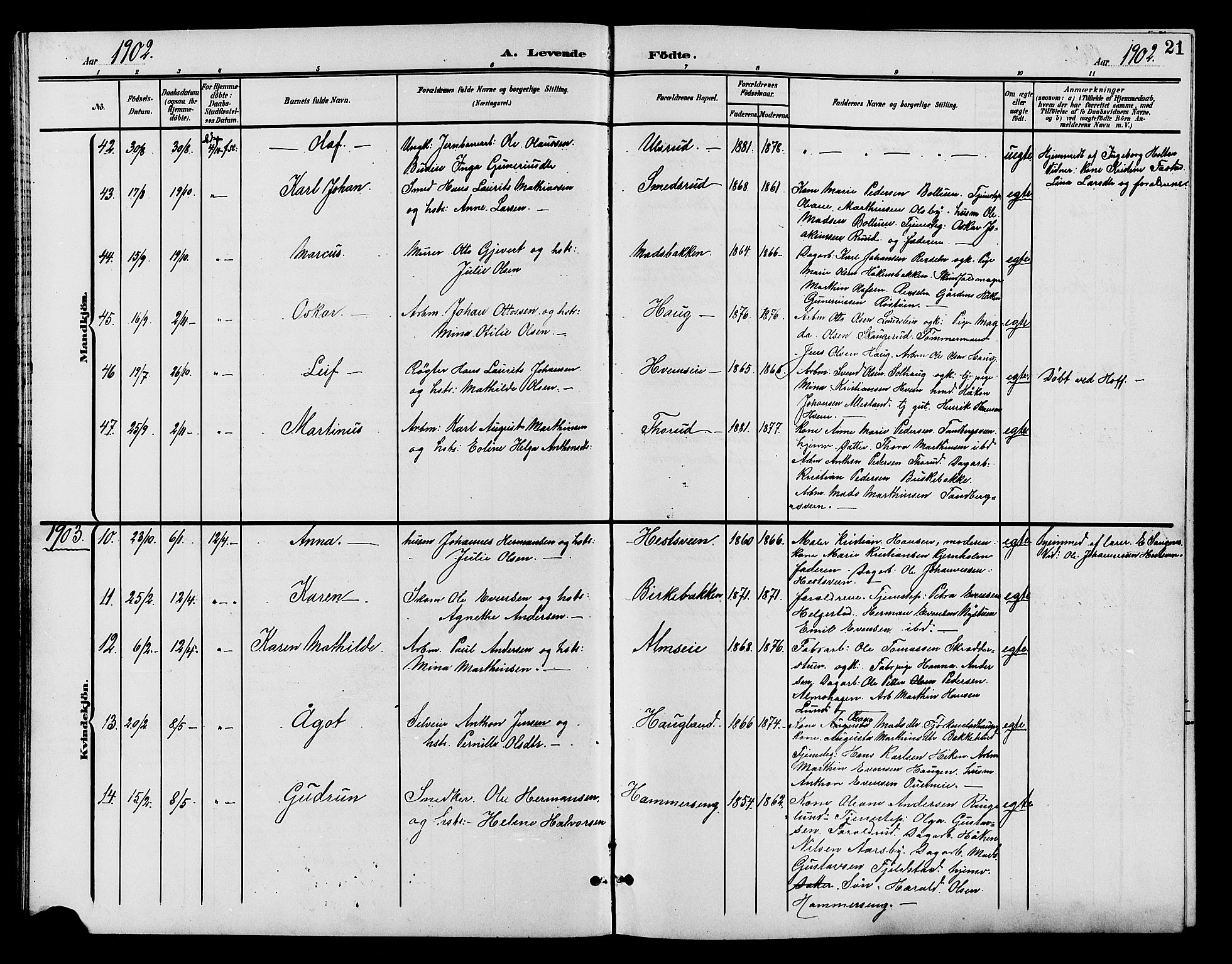 Østre Toten prestekontor, AV/SAH-PREST-104/H/Ha/Hab/L0007: Parish register (copy) no. 7, 1901-1912, p. 21