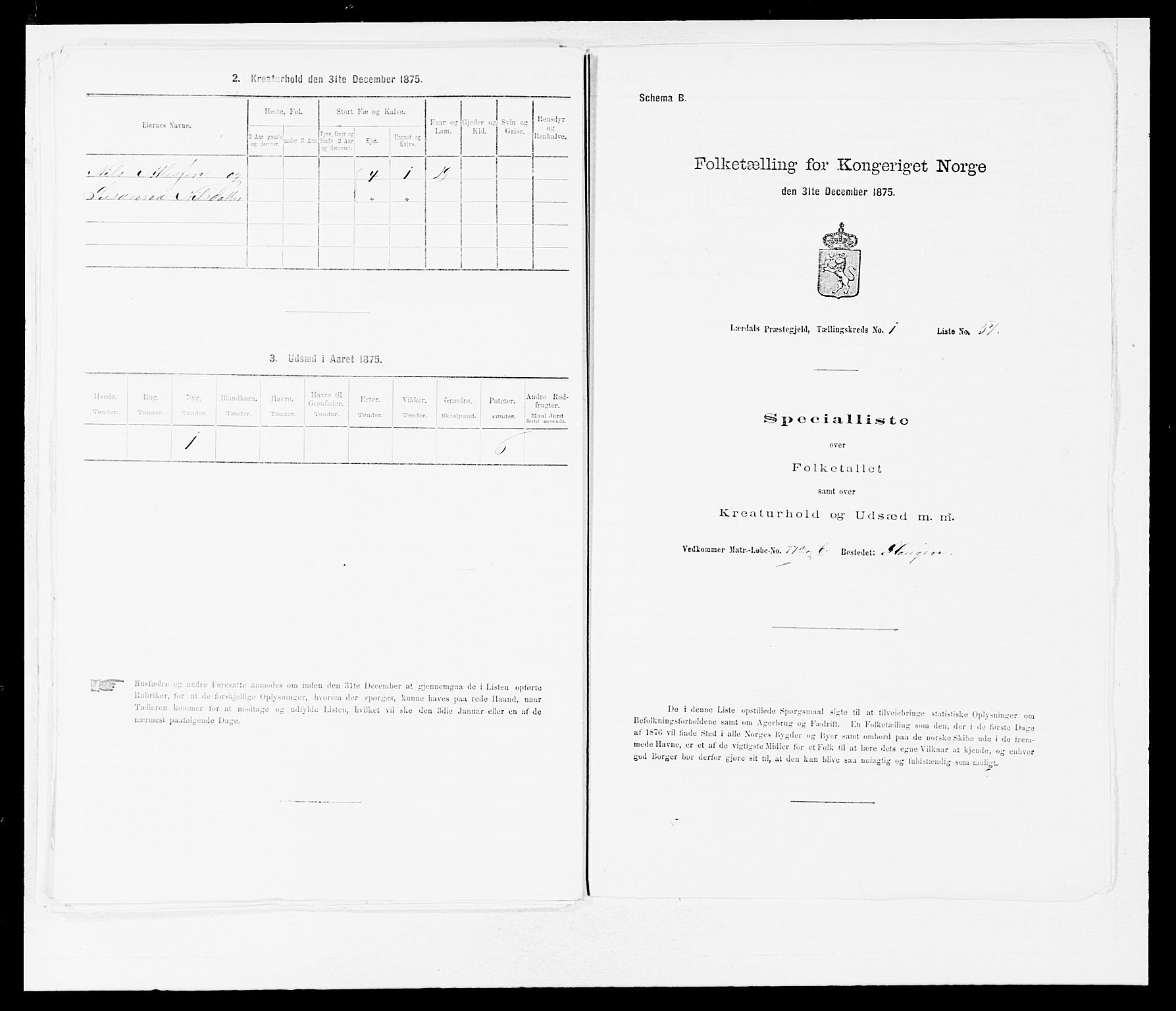 SAB, 1875 census for 1422P Lærdal, 1875, p. 133