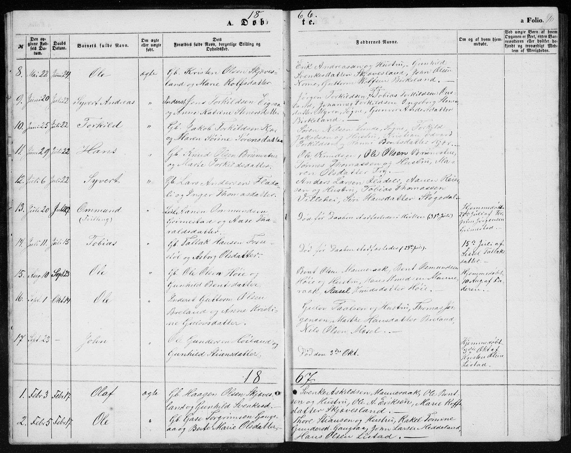 Holum sokneprestkontor, AV/SAK-1111-0022/F/Fb/Fbc/L0002: Parish register (copy) no. B 2, 1860-1882, p. 10