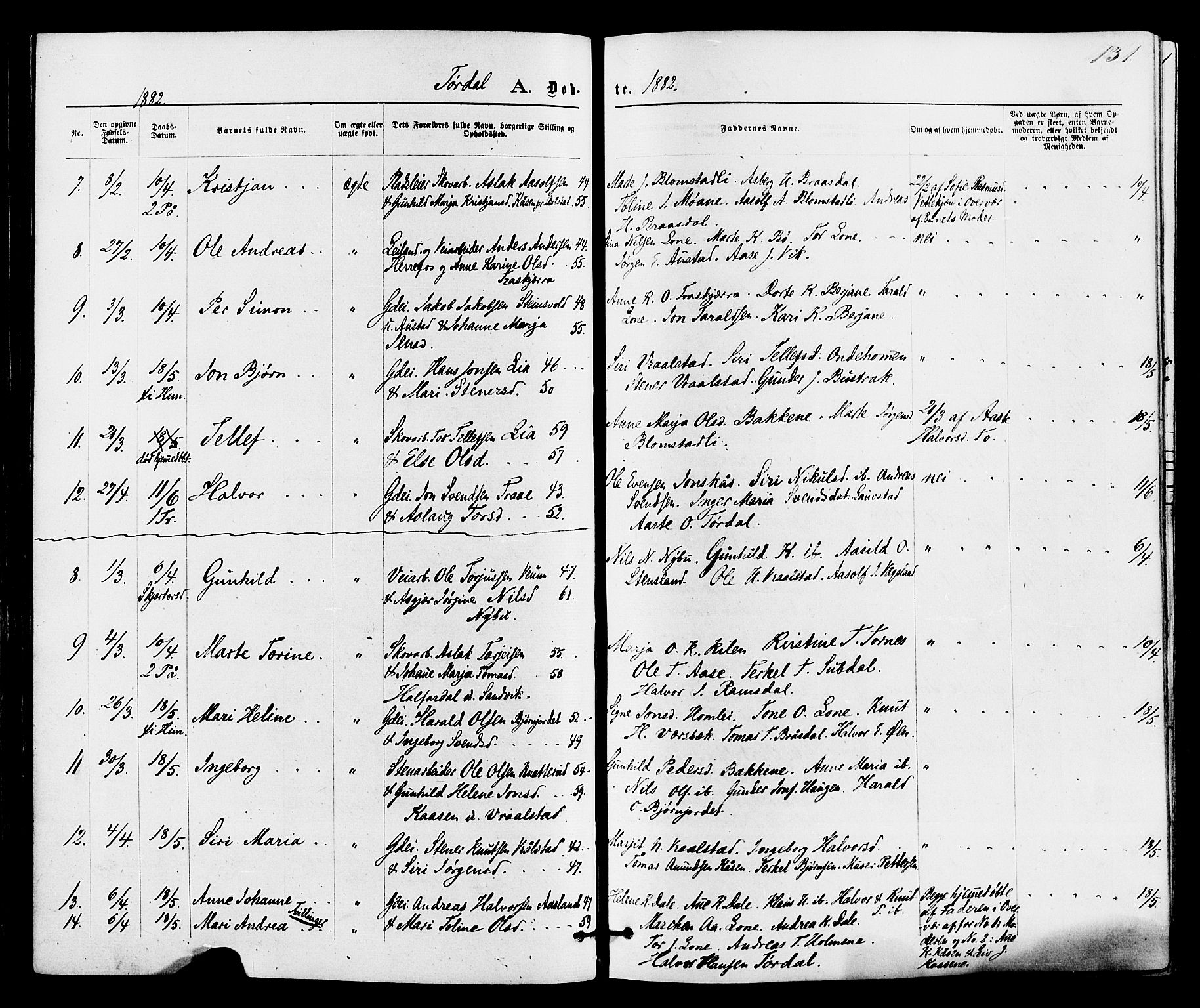Drangedal kirkebøker, SAKO/A-258/F/Fa/L0009: Parish register (official) no. 9 /2, 1872-1884, p. 131
