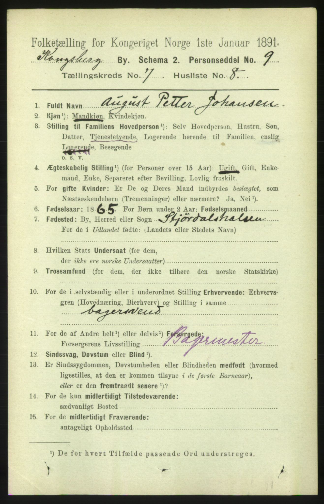 RA, 1891 census for 0604 Kongsberg, 1891, p. 5068