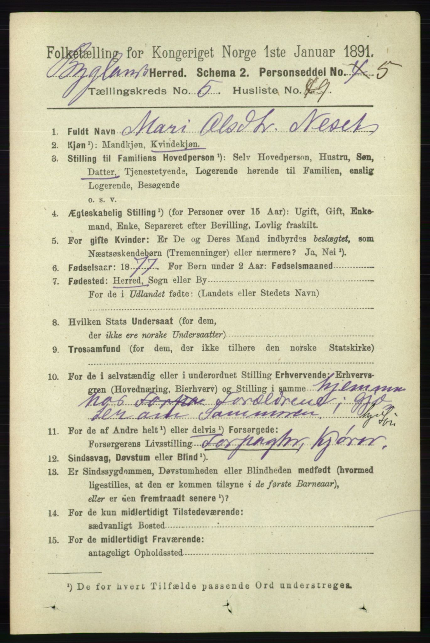 RA, 1891 census for 0938 Bygland, 1891, p. 1301