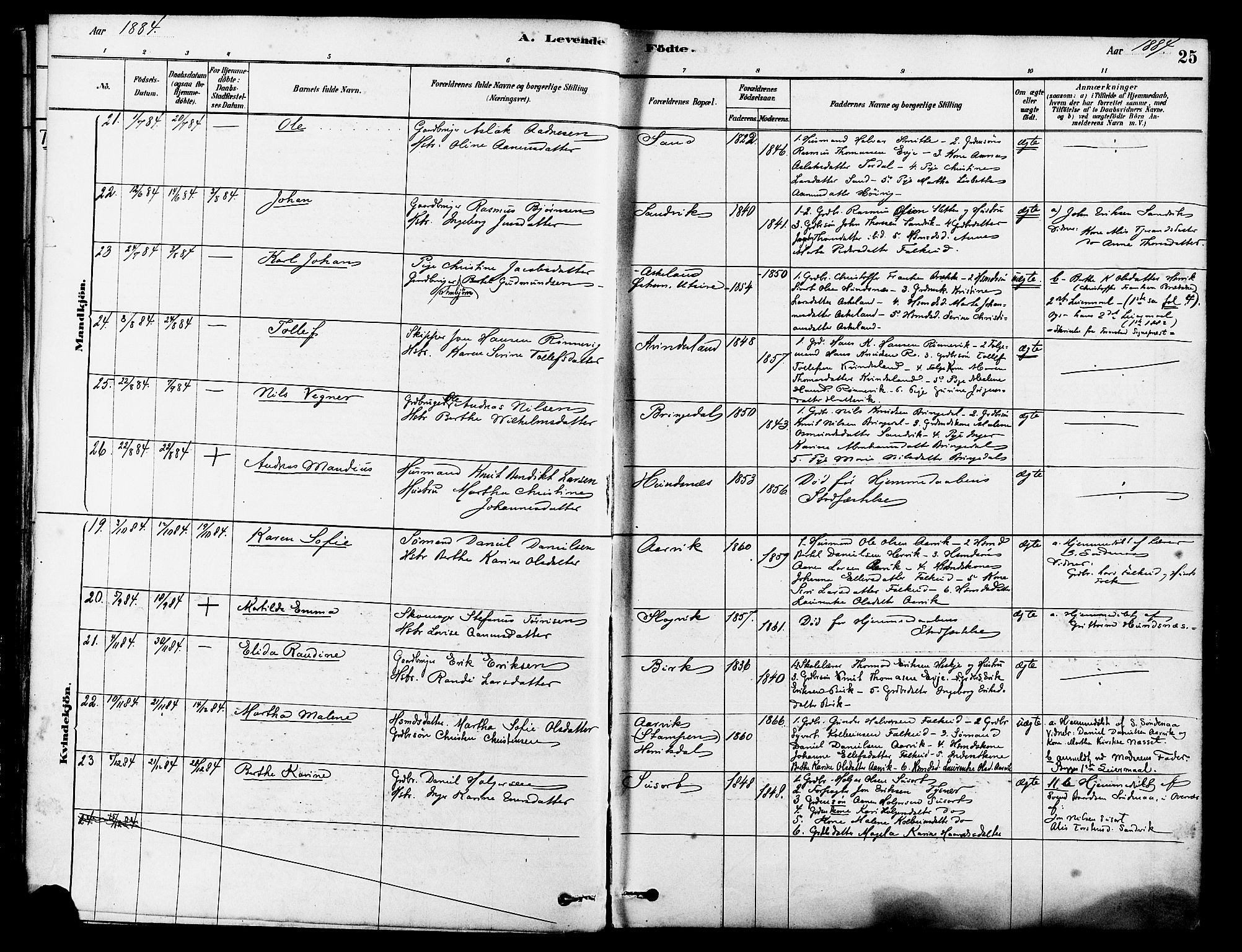 Tysvær sokneprestkontor, AV/SAST-A -101864/H/Ha/Haa/L0006: Parish register (official) no. A 6, 1878-1896, p. 25