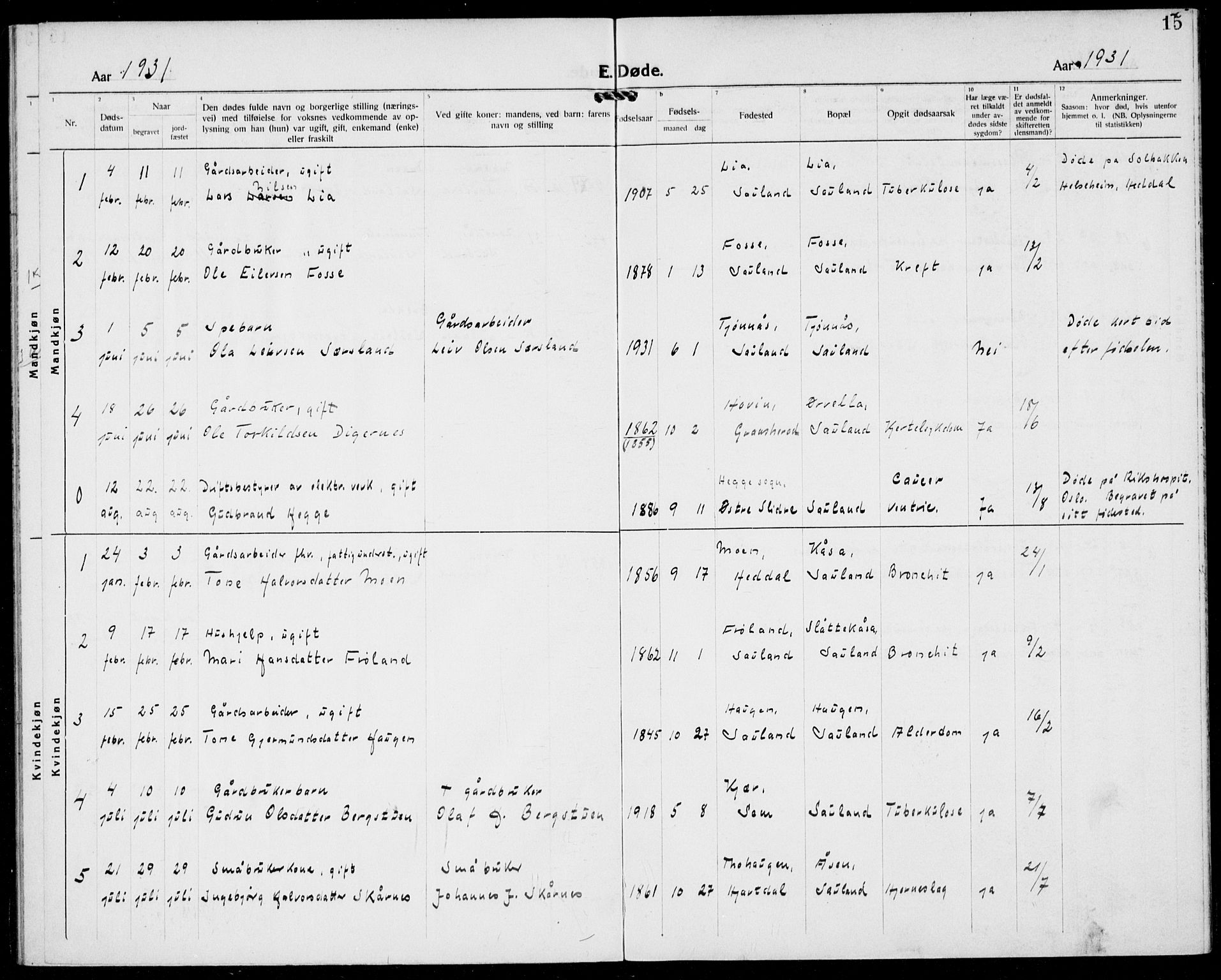 Hjartdal kirkebøker, SAKO/A-270/F/Fb/L0002: Parish register (official) no. II 2, 1880-1932, p. 15