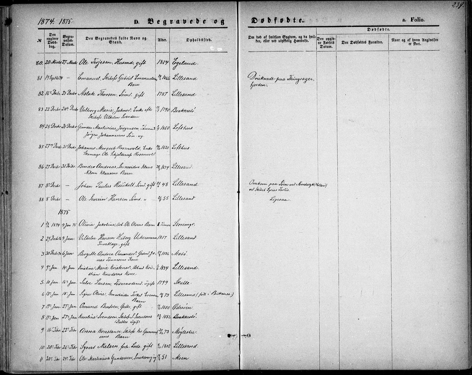 Vestre Moland sokneprestkontor, SAK/1111-0046/F/Fb/Fbb/L0005: Parish register (copy) no. B 5, 1872-1883, p. 239