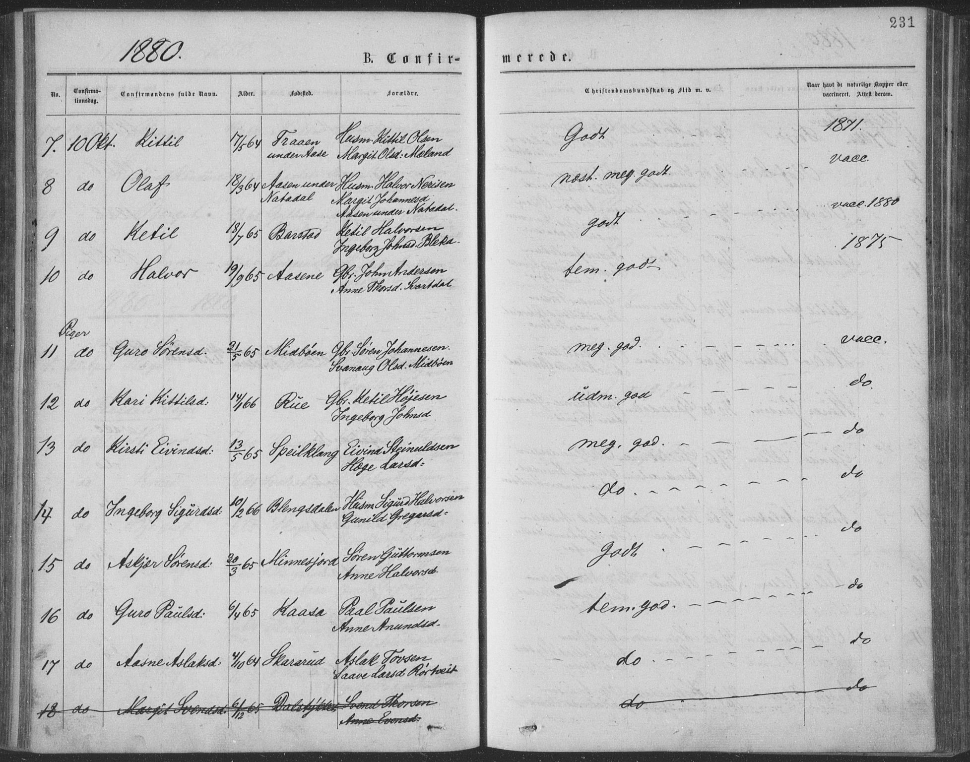 Seljord kirkebøker, AV/SAKO-A-20/F/Fa/L0014: Parish register (official) no. I 14, 1877-1886, p. 231