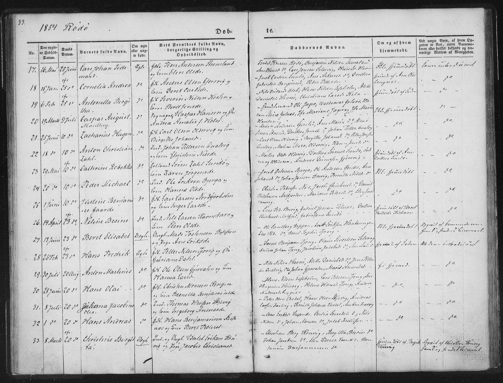 Ministerialprotokoller, klokkerbøker og fødselsregistre - Nordland, AV/SAT-A-1459/841/L0602: Parish register (official) no. 841A08 /1, 1845-1859, p. 33