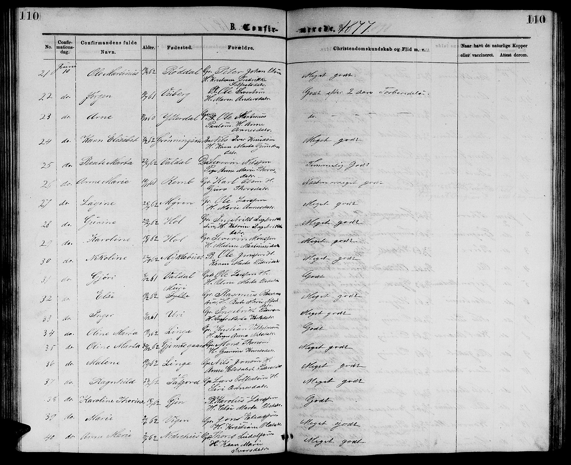 Ministerialprotokoller, klokkerbøker og fødselsregistre - Møre og Romsdal, AV/SAT-A-1454/519/L0262: Parish register (copy) no. 519C03, 1866-1884, p. 110