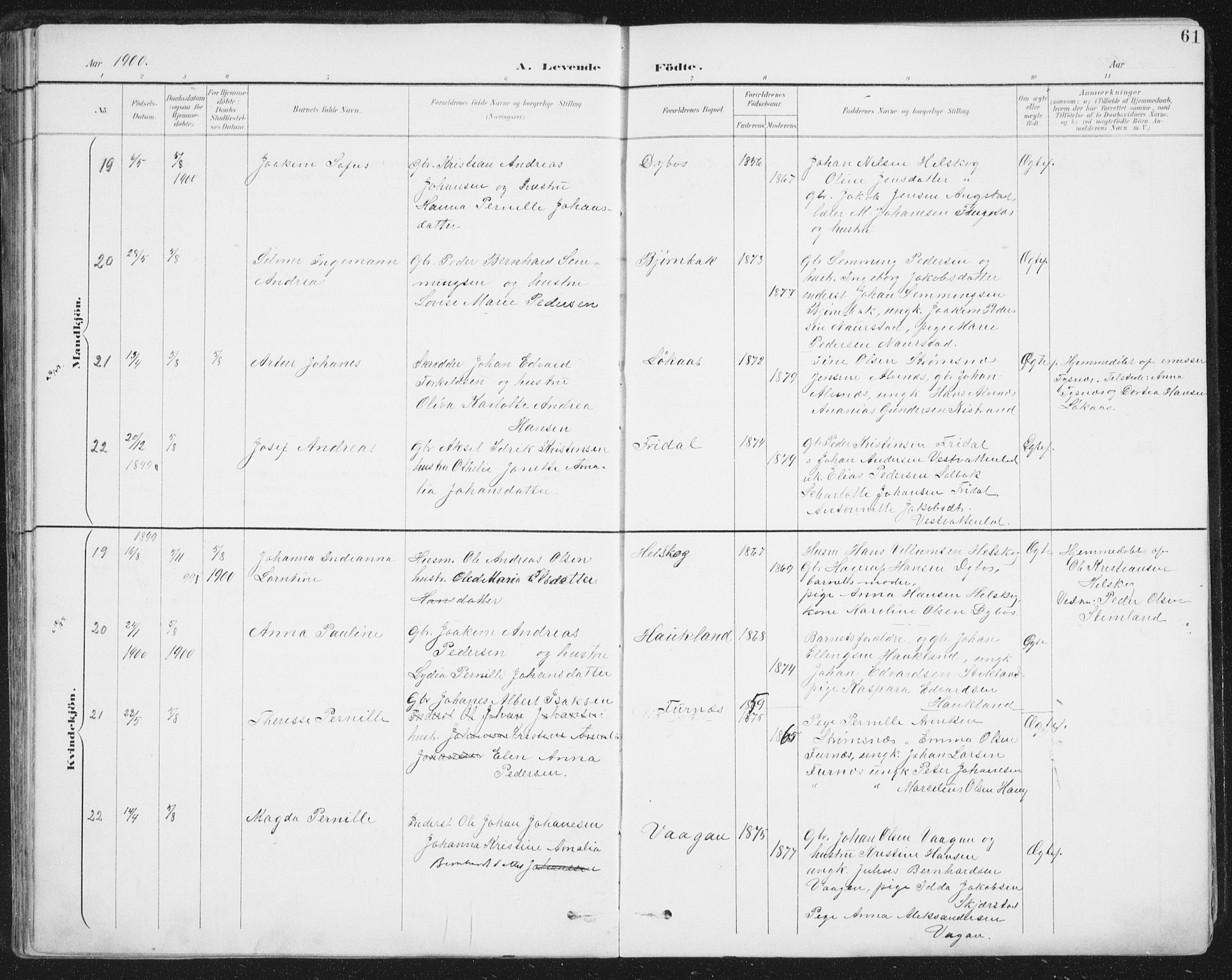 Ministerialprotokoller, klokkerbøker og fødselsregistre - Nordland, AV/SAT-A-1459/852/L0741: Parish register (official) no. 852A11, 1894-1917, p. 61