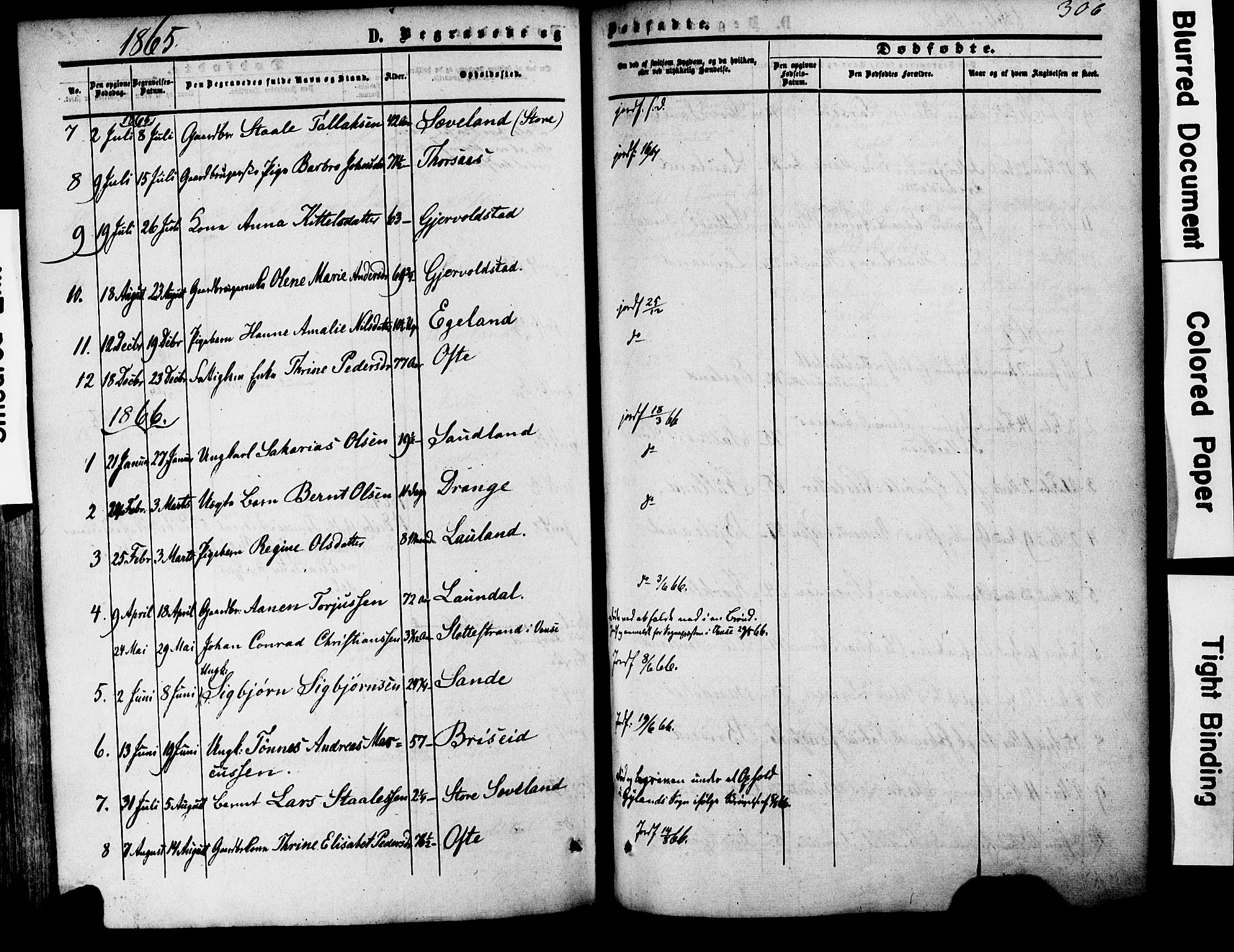 Herad sokneprestkontor, AV/SAK-1111-0018/F/Fa/Faa/L0005: Parish register (official) no. A 5, 1853-1886, p. 306