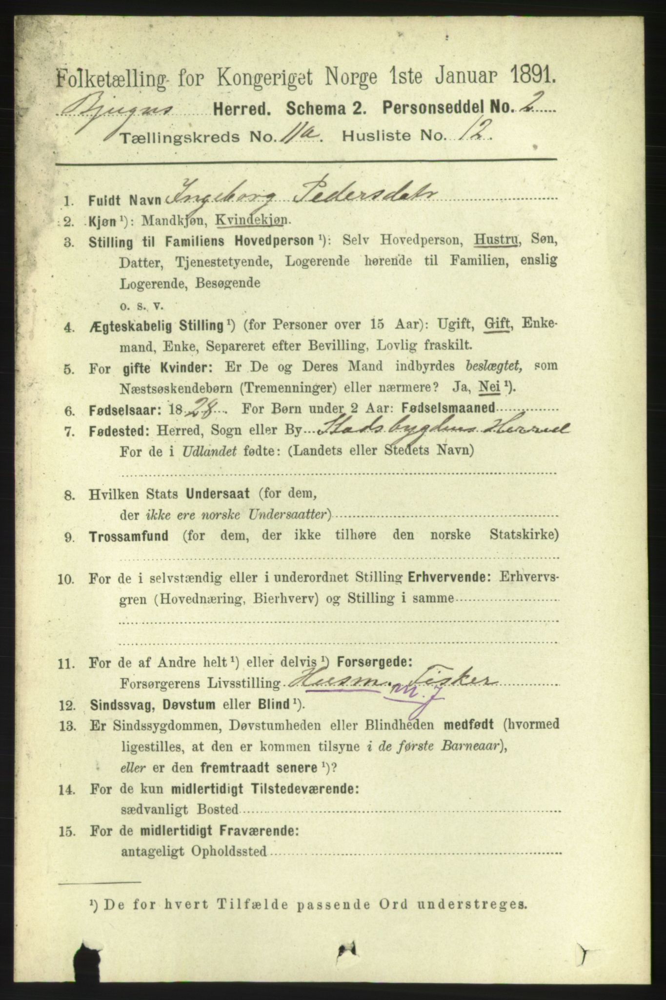 RA, 1891 census for 1627 Bjugn, 1891, p. 3128