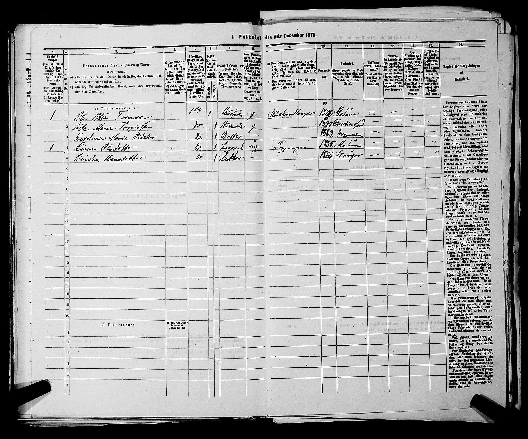 SAKO, 1875 census for 0602 Drammen, 1875, p. 1676
