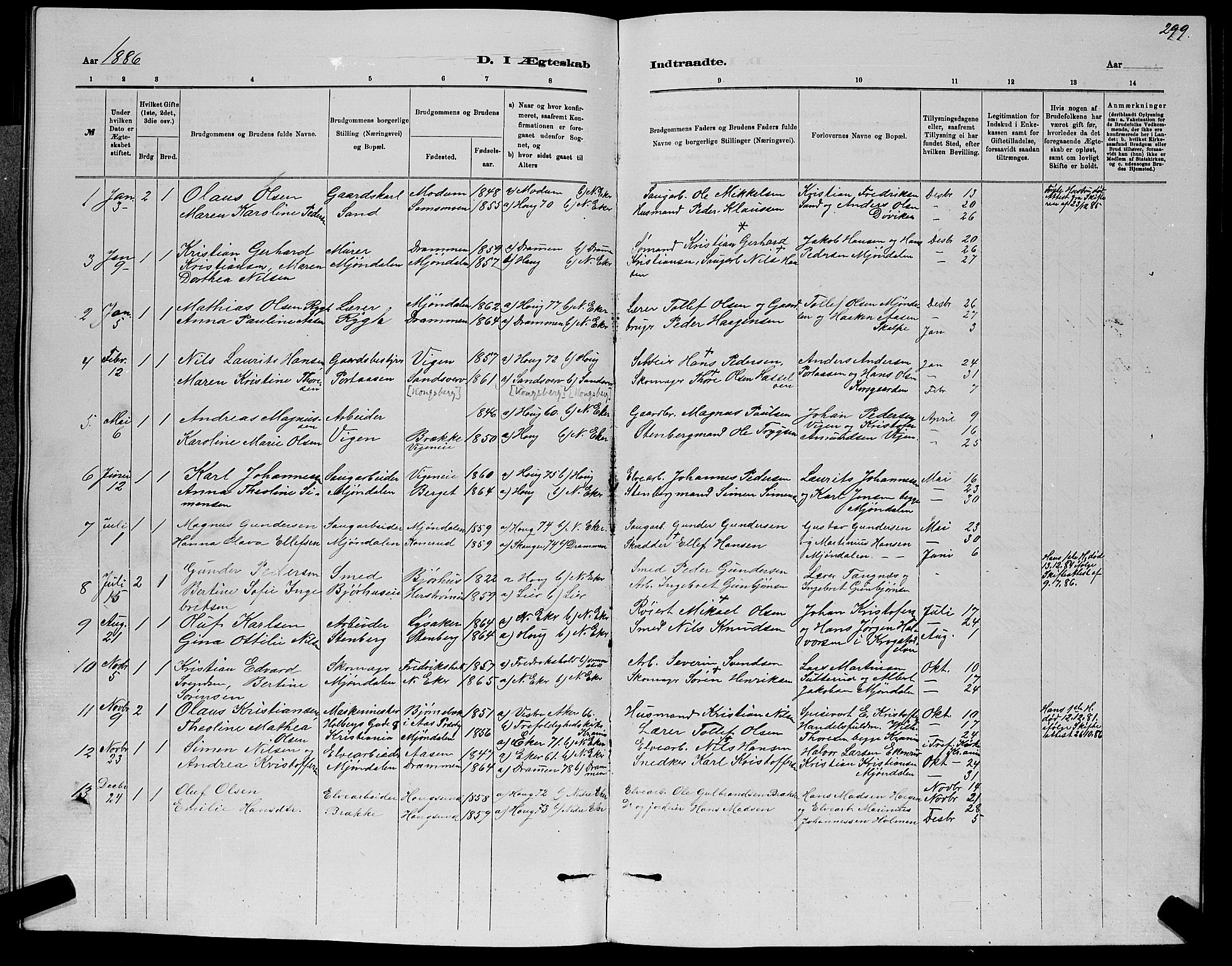 Nedre Eiker kirkebøker, AV/SAKO-A-612/G/Ga/L0002: Parish register (copy) no. 2, 1880-1896, p. 299