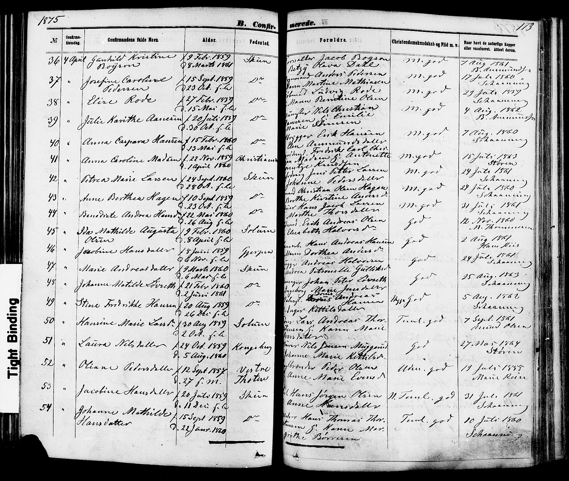 Skien kirkebøker, SAKO/A-302/F/Fa/L0008: Parish register (official) no. 8, 1866-1877, p. 173