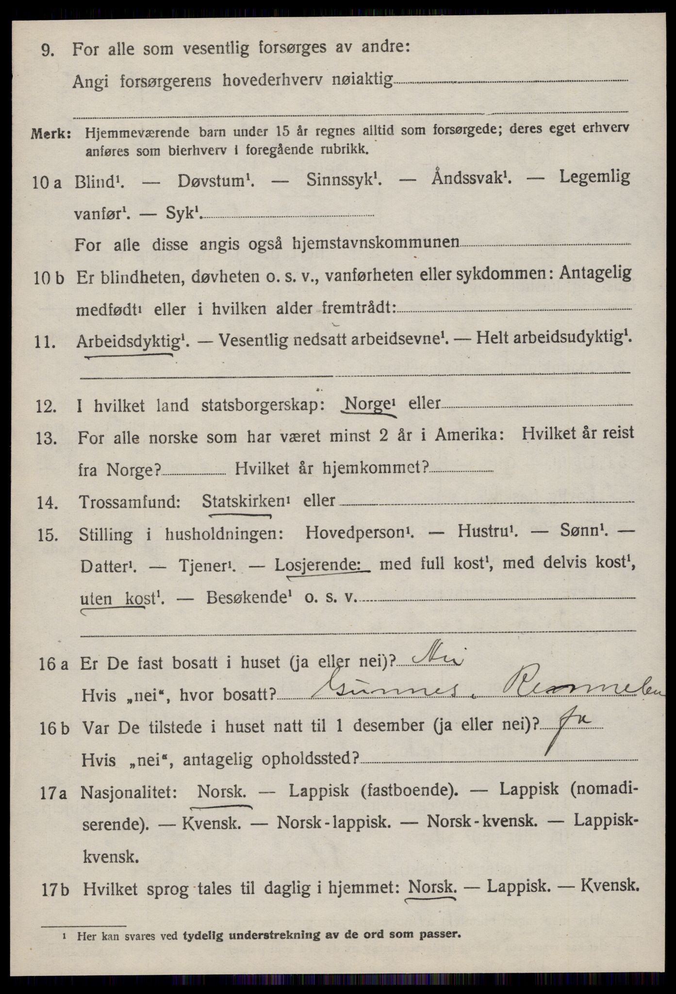 SAT, 1920 census for Rennebu, 1920, p. 3983