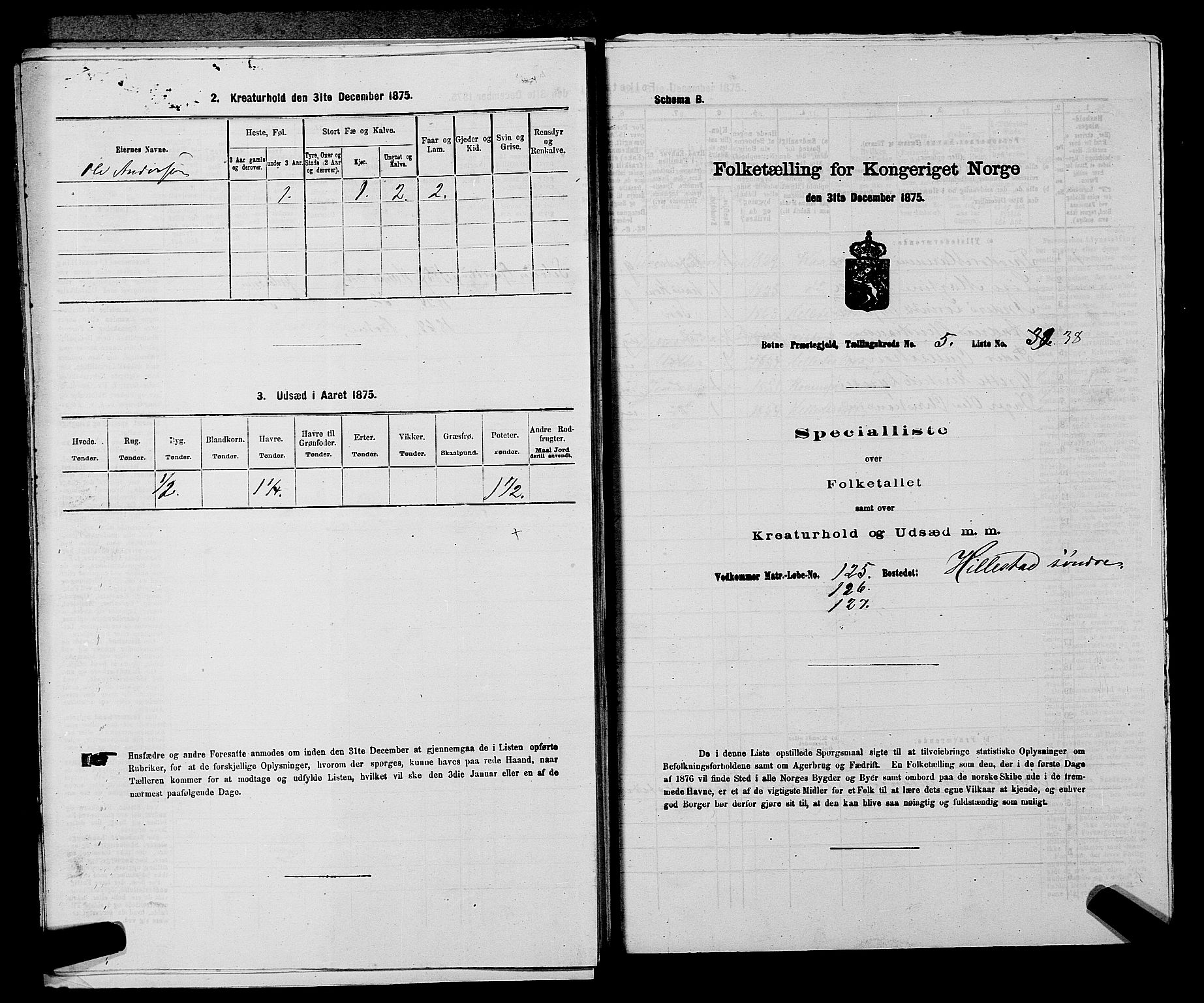 SAKO, 1875 census for 0715P Botne, 1875, p. 462