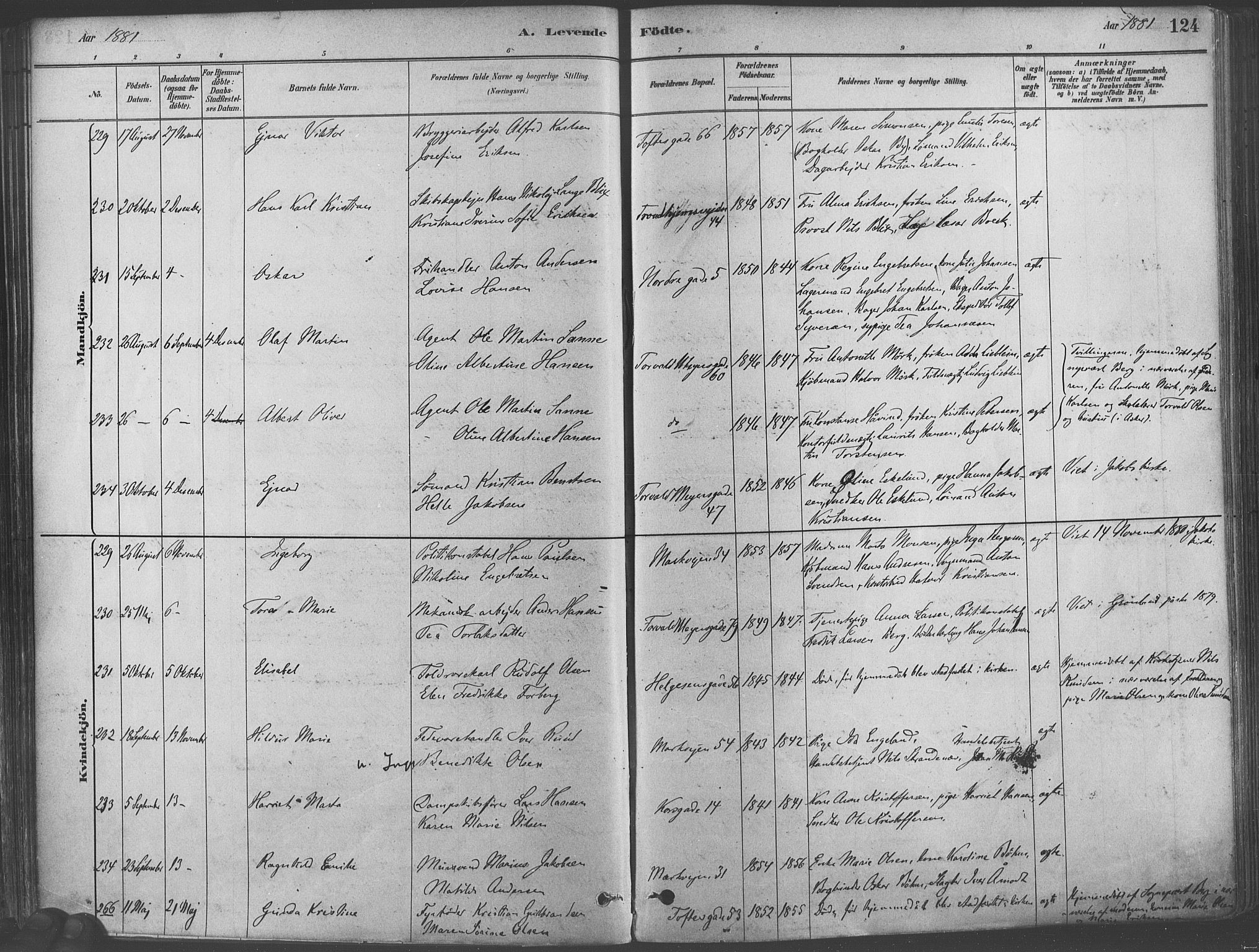 Paulus prestekontor Kirkebøker, AV/SAO-A-10871/F/Fa/L0003: Parish register (official) no. 3, 1879-1887, p. 124