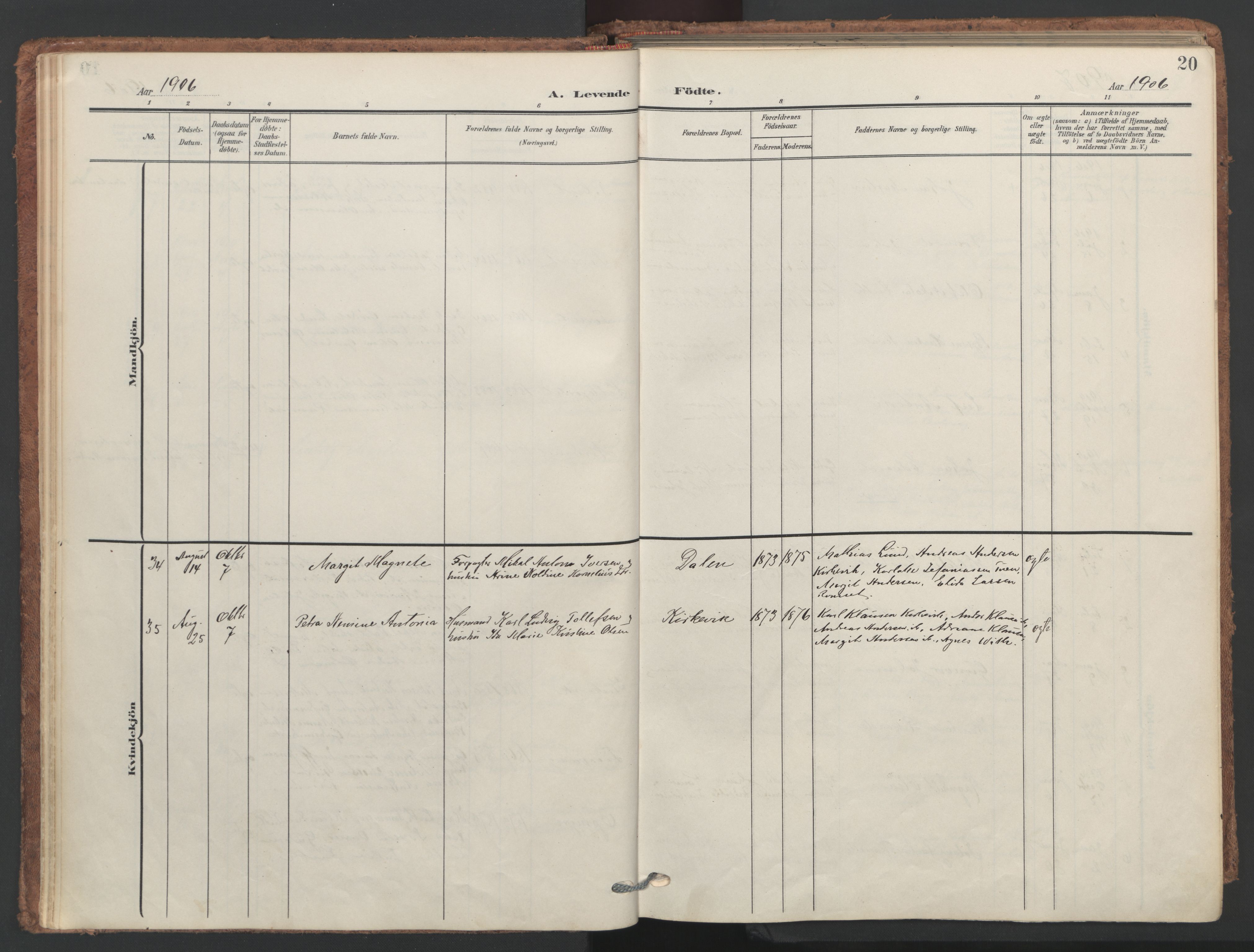 Ministerialprotokoller, klokkerbøker og fødselsregistre - Nordland, SAT/A-1459/893/L1339: Parish register (official) no. 893A11, 1904-1914, p. 20