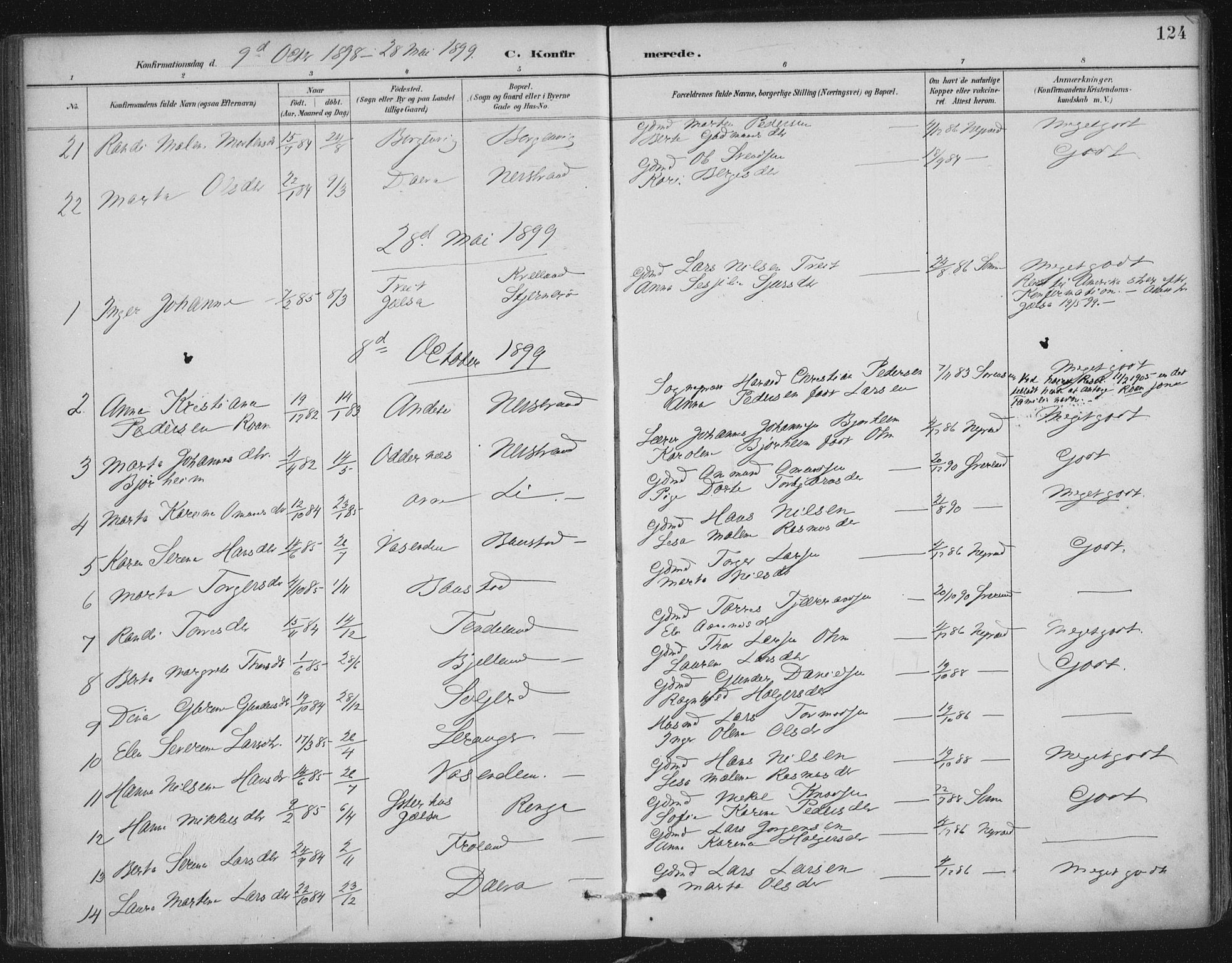 Nedstrand sokneprestkontor, SAST/A-101841/01/IV: Parish register (official) no. A 12, 1887-1915, p. 124