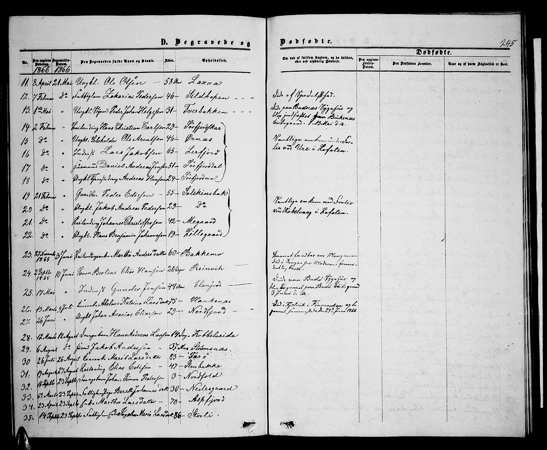 Ministerialprotokoller, klokkerbøker og fødselsregistre - Nordland, AV/SAT-A-1459/853/L0775: Parish register (copy) no. 853C03, 1859-1877, p. 245