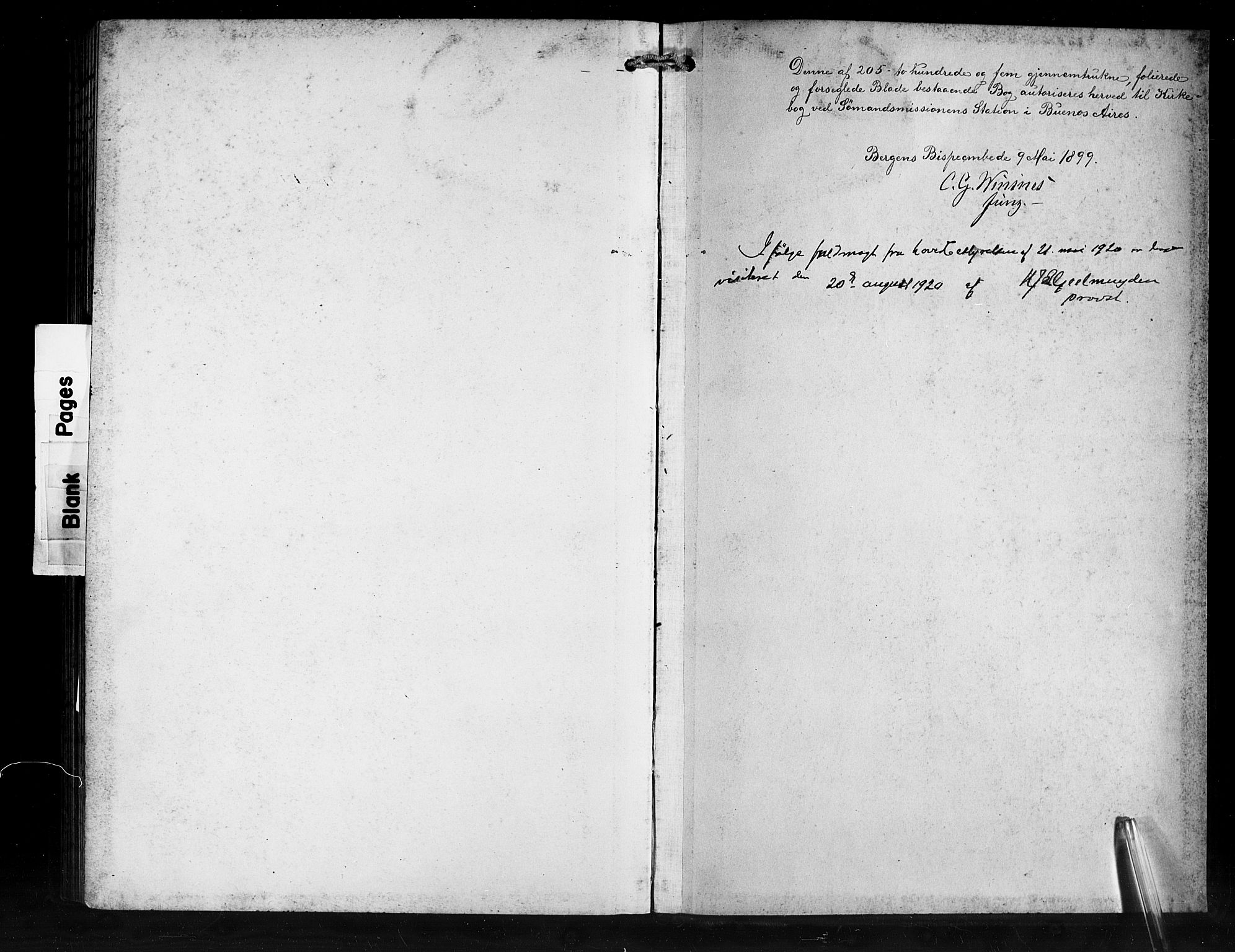 Den norske sjømannsmisjon i utlandet/Syd-Amerika (Buenos Aires m.fl.), SAB/SAB/PA-0118/H/Ha/L0002: Parish register (official) no. A 2, 1899-1919