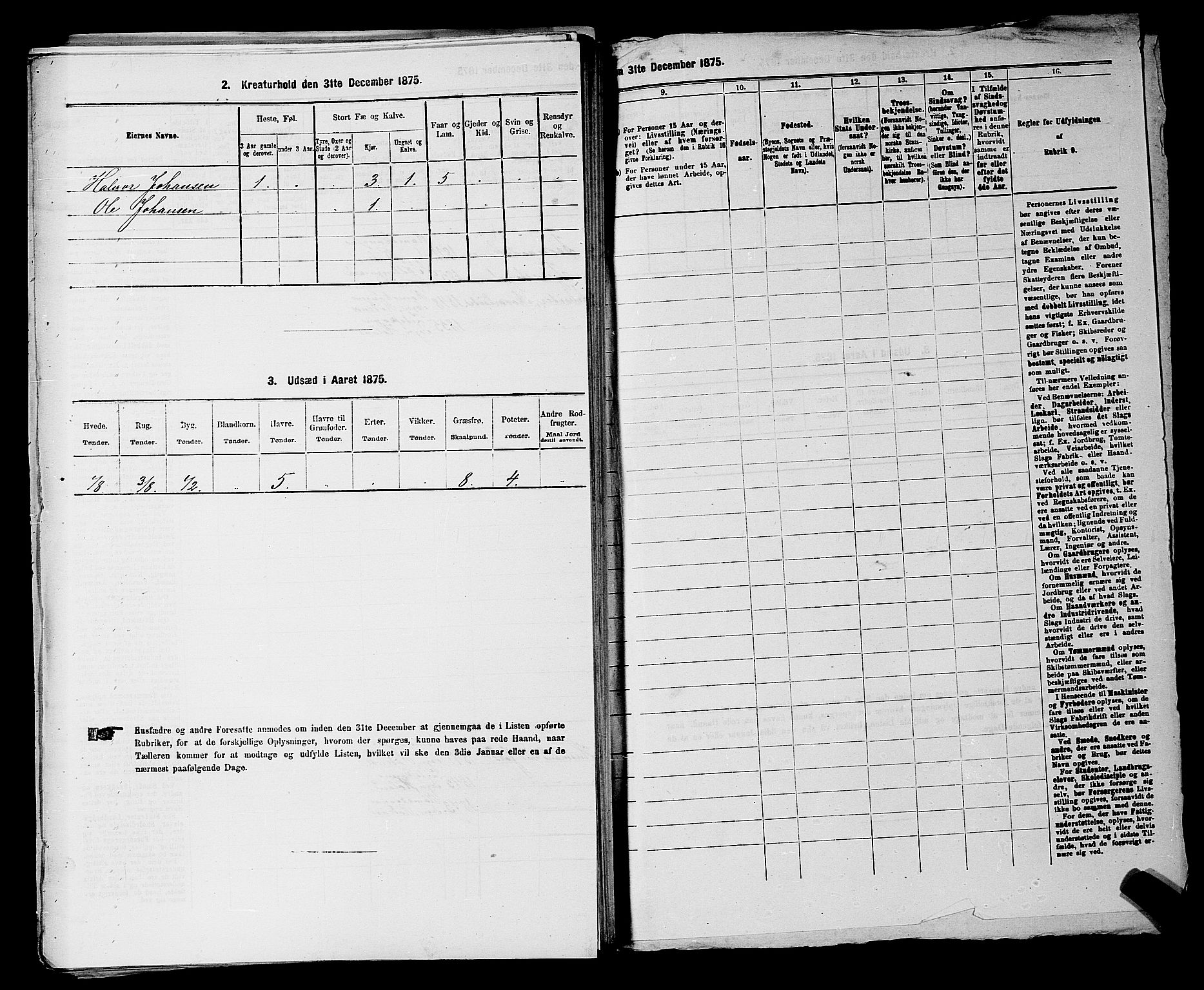 RA, 1875 census for 0120P Rødenes, 1875, p. 794