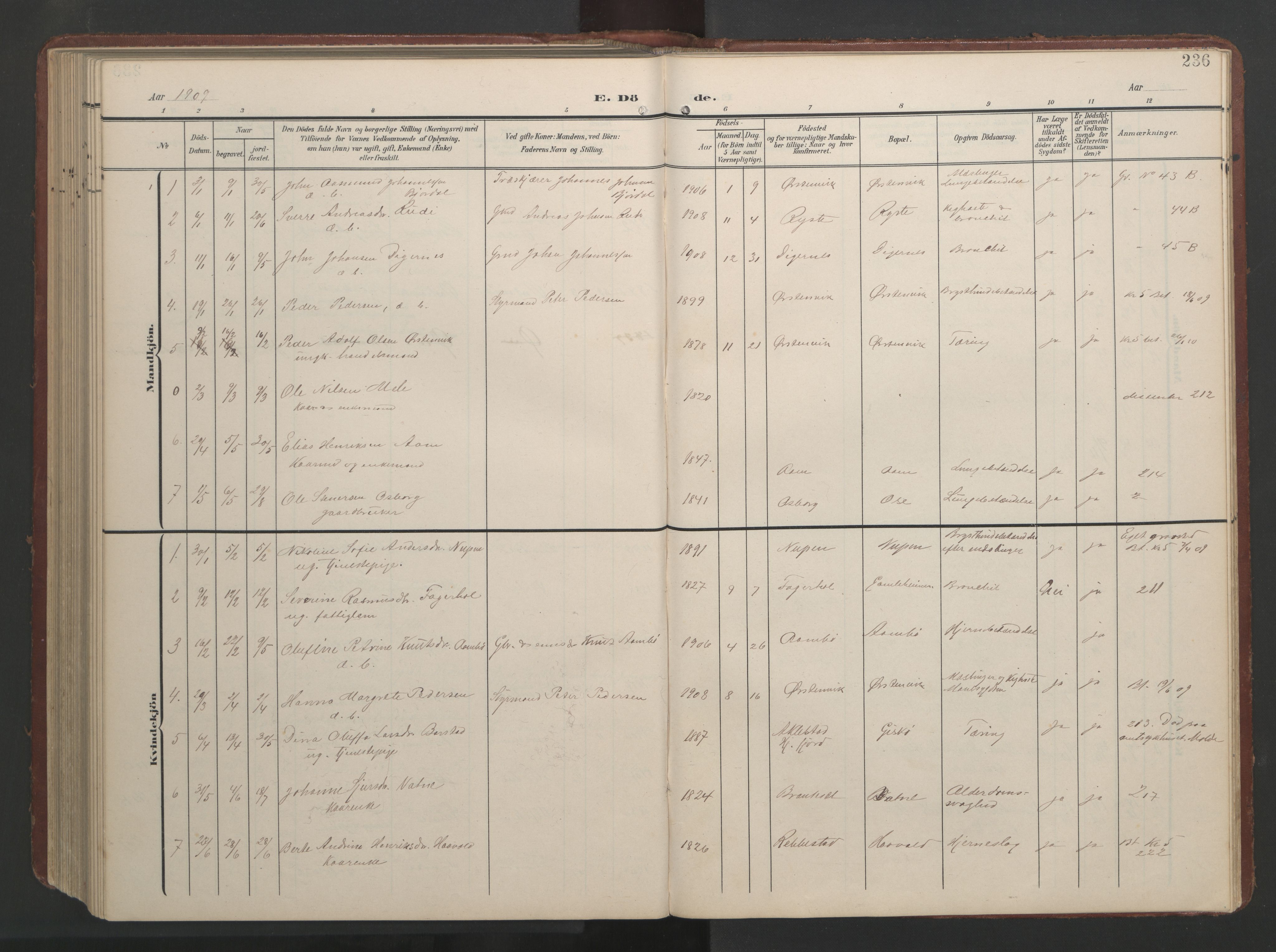 Ministerialprotokoller, klokkerbøker og fødselsregistre - Møre og Romsdal, AV/SAT-A-1454/513/L0190: Parish register (copy) no. 513C04, 1904-1926, p. 236