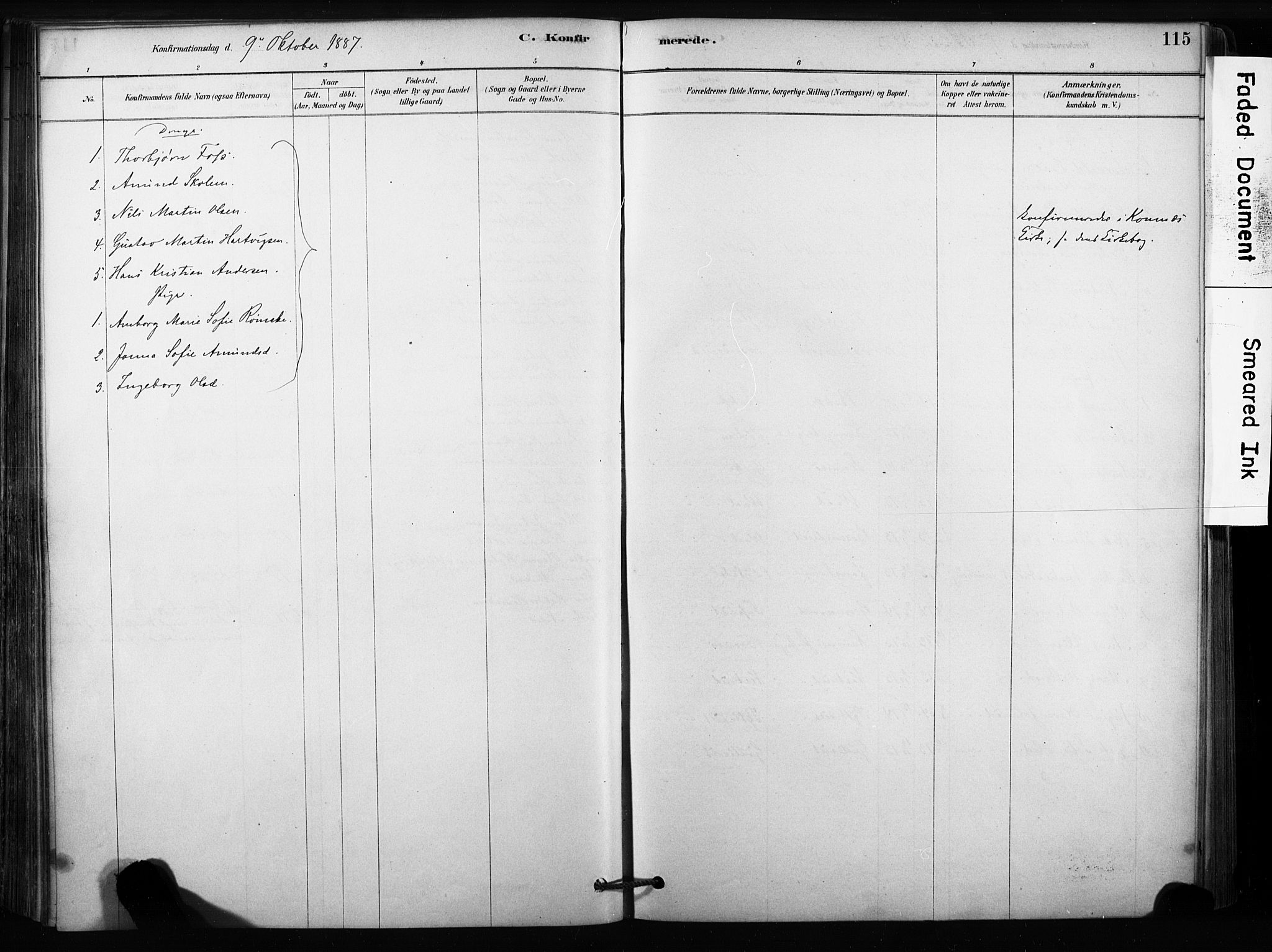 Sandsvær kirkebøker, SAKO/A-244/F/Fc/L0001: Parish register (official) no. III 1, 1878-1923, p. 115