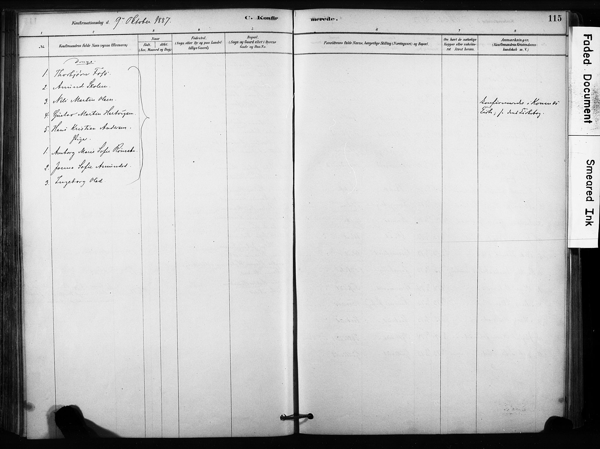 Sandsvær kirkebøker, AV/SAKO-A-244/F/Fc/L0001: Parish register (official) no. III 1, 1878-1923, p. 115